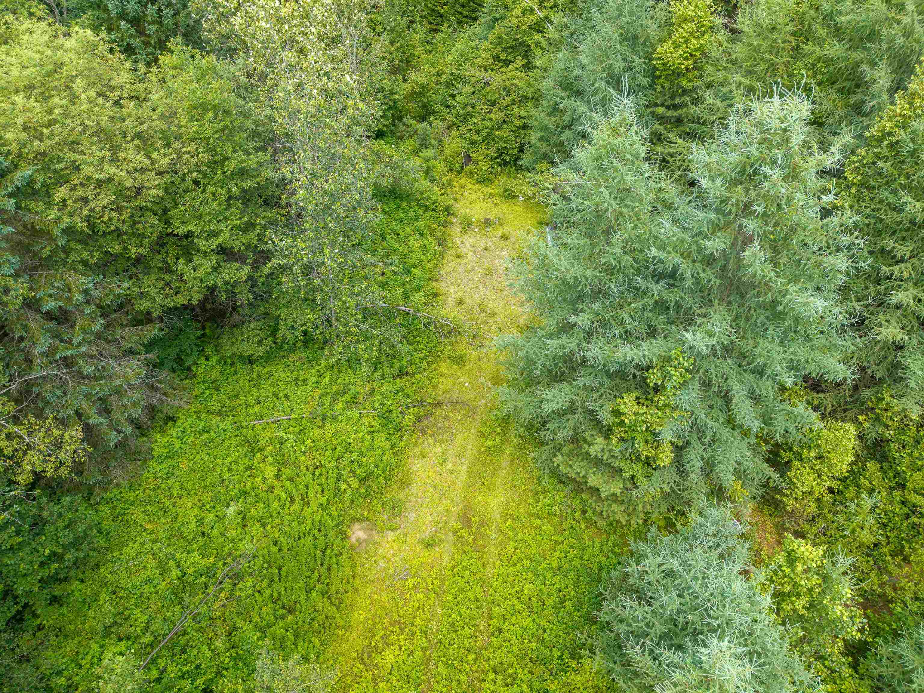 Homes for sale in Concord, VT | 31 Privacy Ln, Concord, VT 05824 | MLS# 5052506