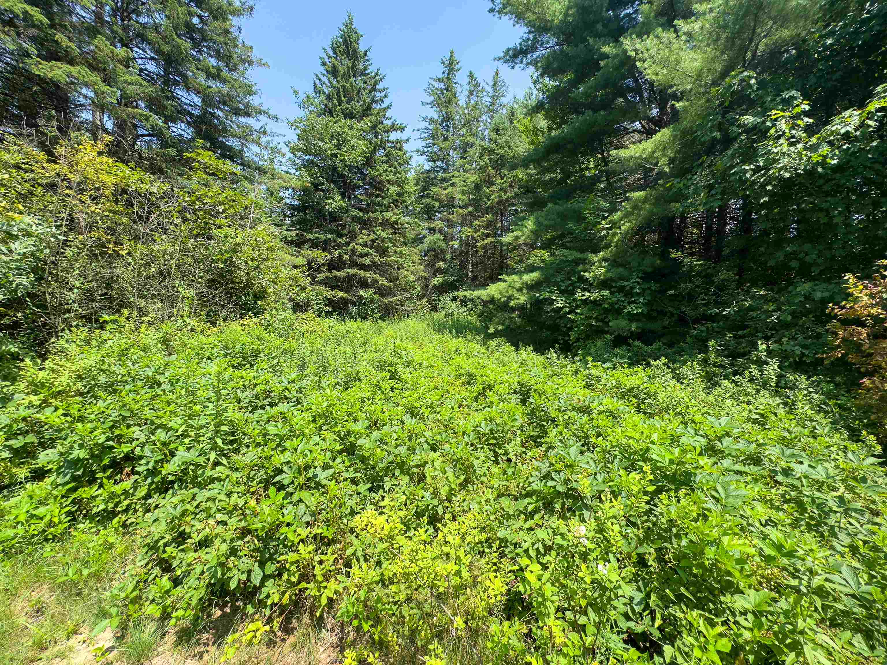 Homes for sale in Concord, VT | 31 Privacy Ln, Concord, VT 05824 | MLS# 5052506