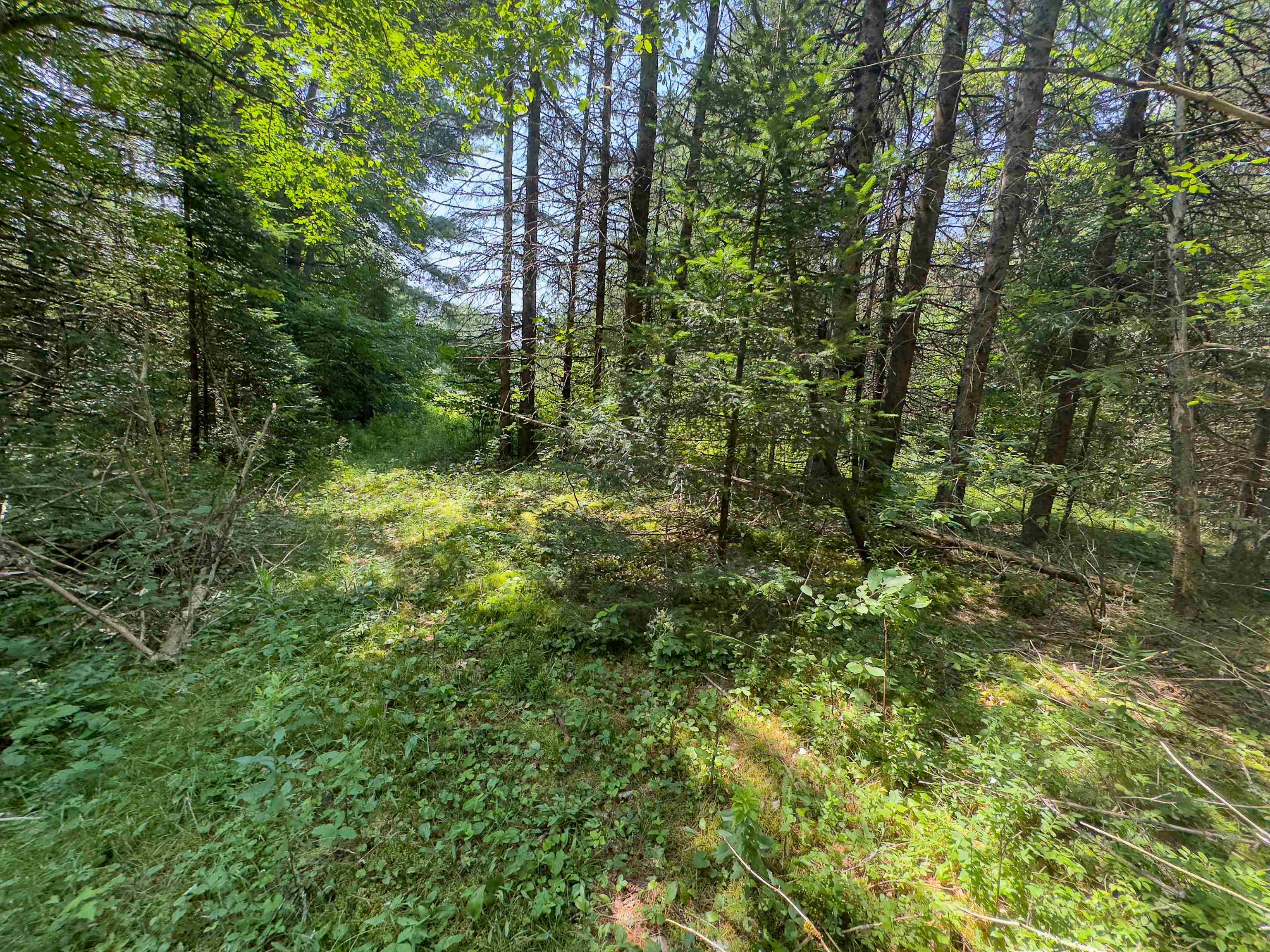 Homes for sale in Concord, VT | 31 Privacy Ln, Concord, VT 05824 | MLS# 5052506