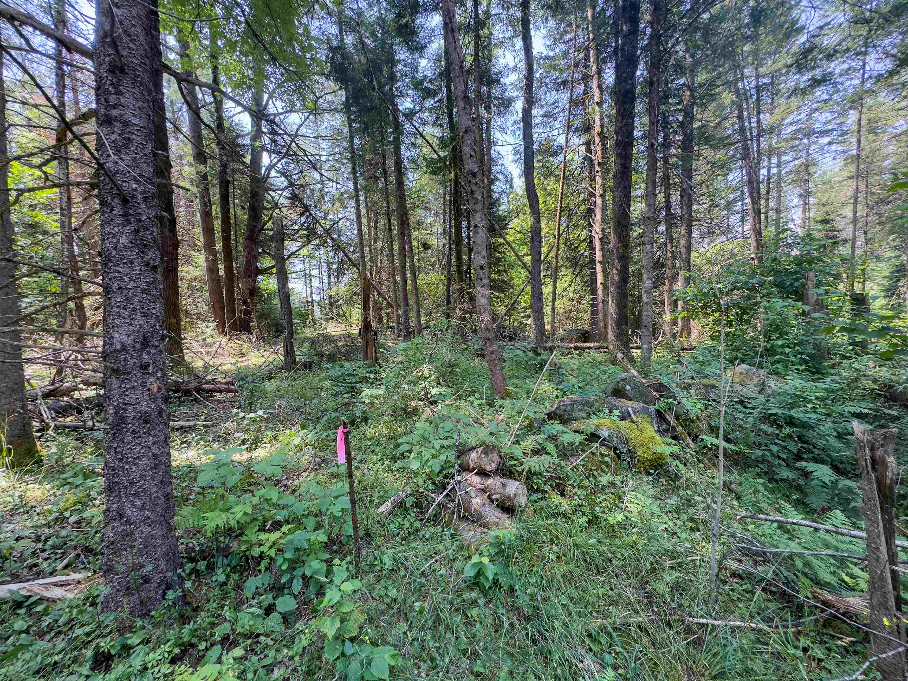 Homes for sale in Concord, VT | 31 Privacy Ln, Concord, VT 05824 | MLS# 5052506