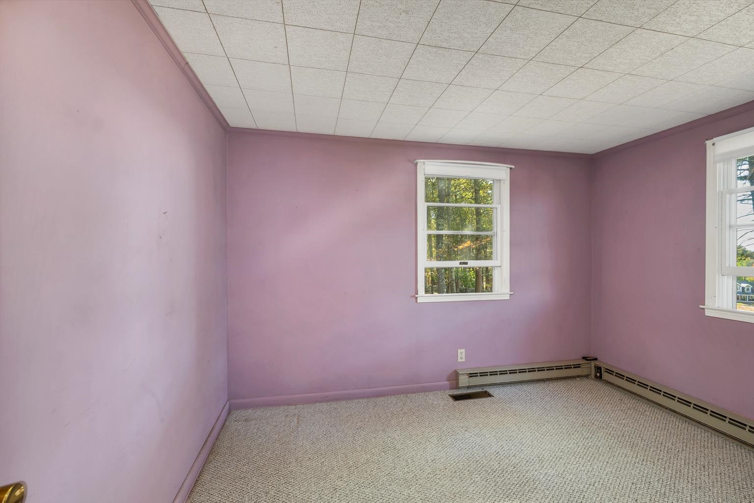 MLS #5052534 image #8