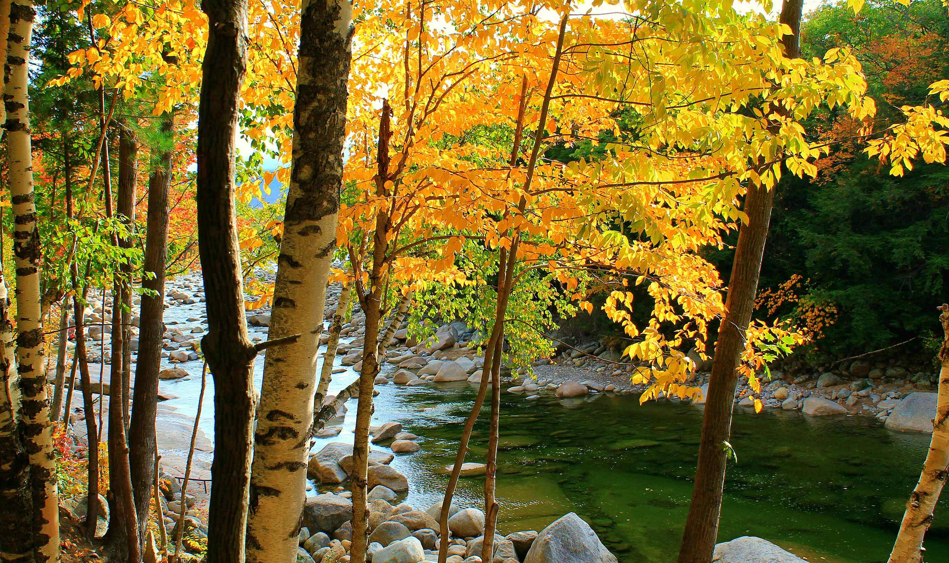 MLS #5052541 image #8