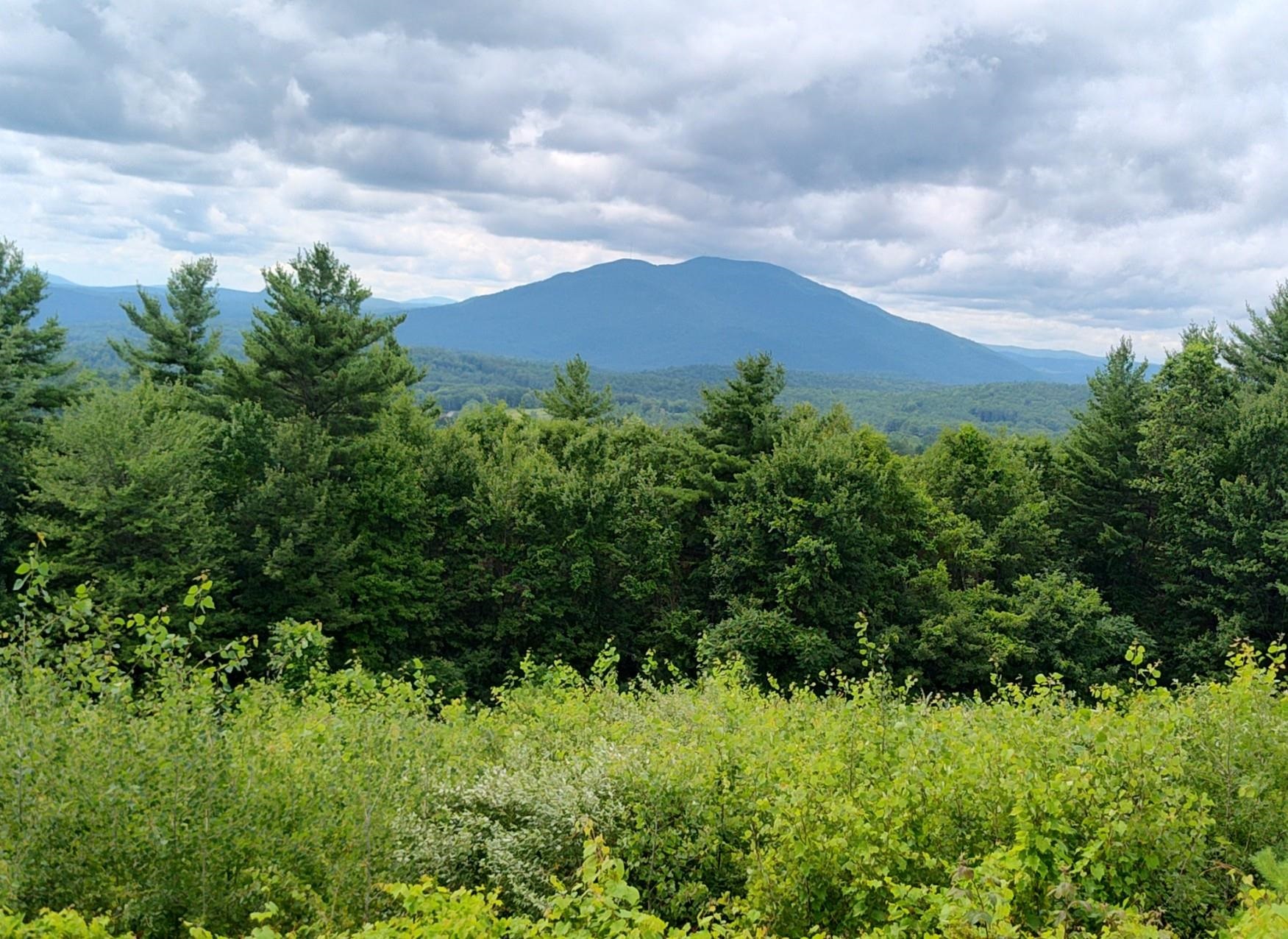 Homes for sale in Claremont, NH | 0 Cat Hole Rd, Claremont, NH 03743 | MLS# 5052634