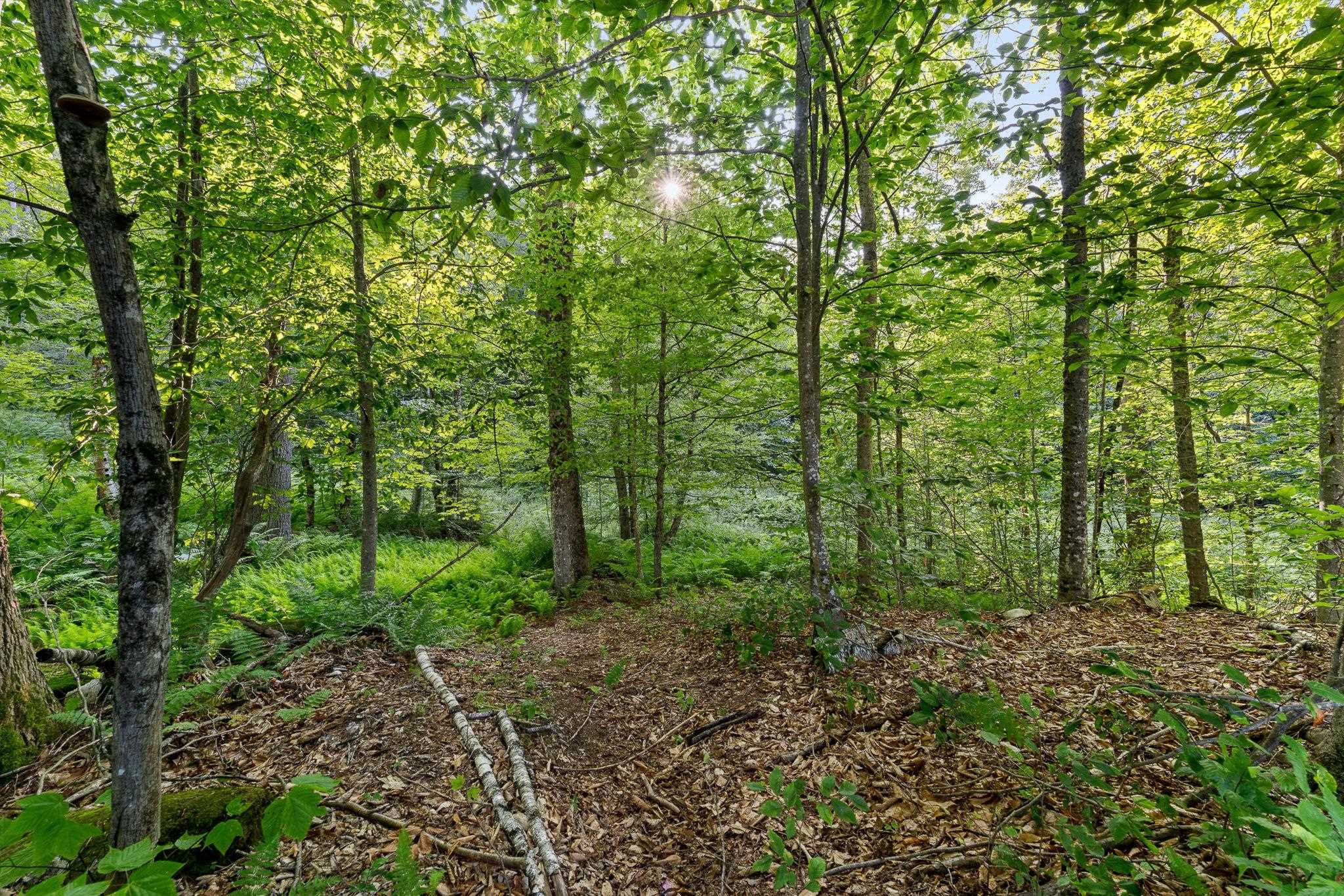 Original stone walls mark many of the properties boundaries, 23714643