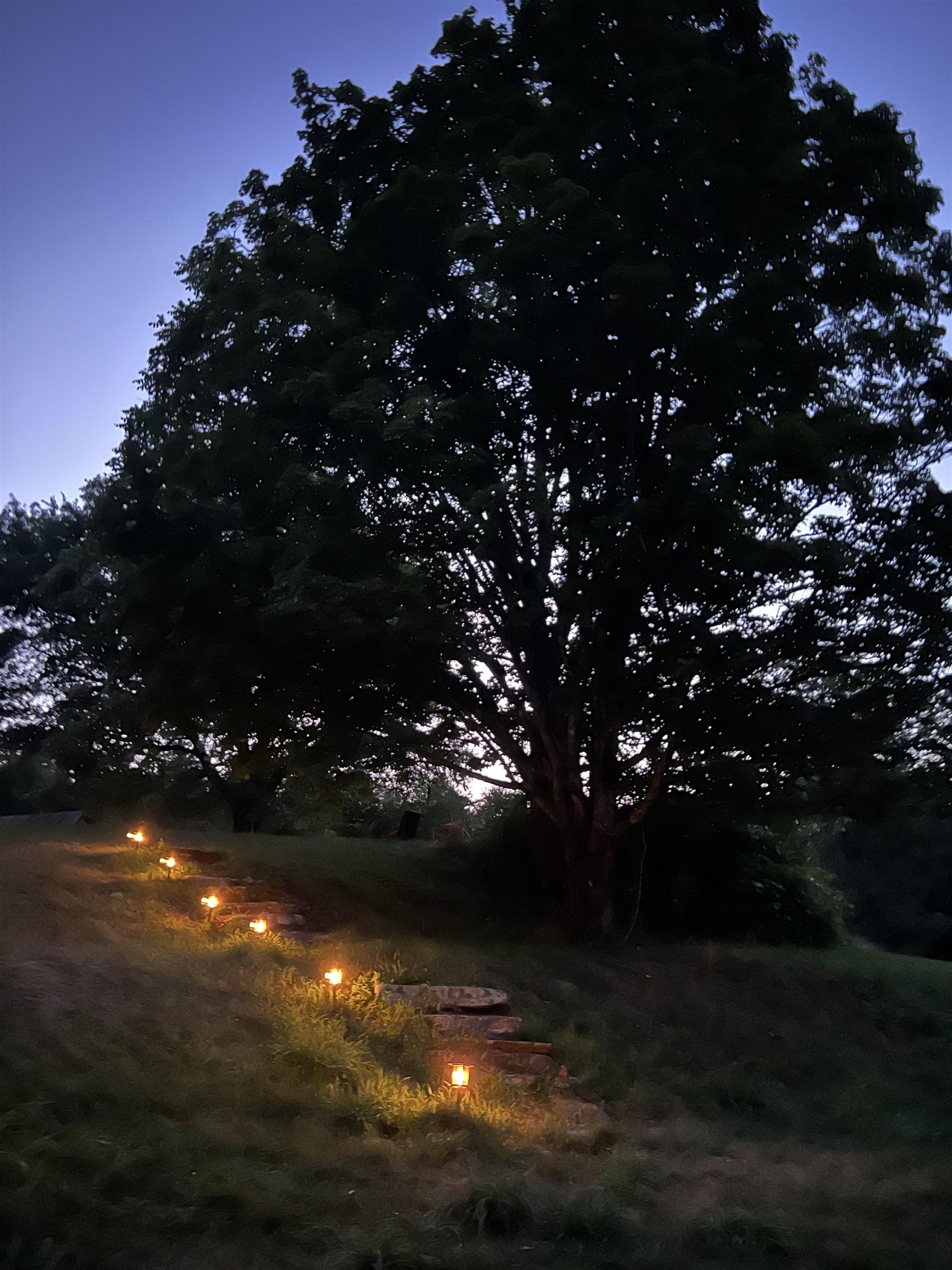 The lighted pathway to the swimming pool 23717276