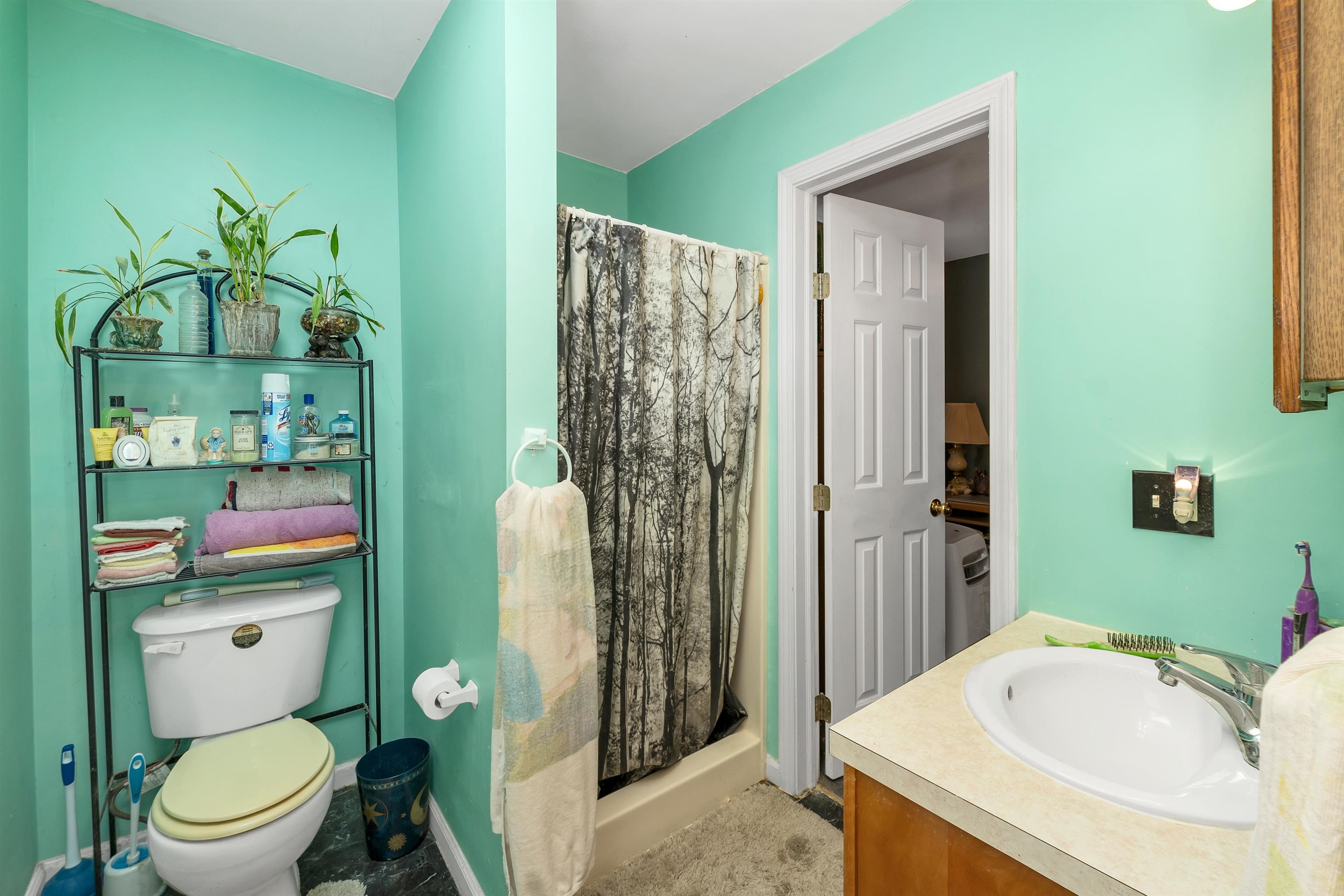 MLS #5052717 image #7