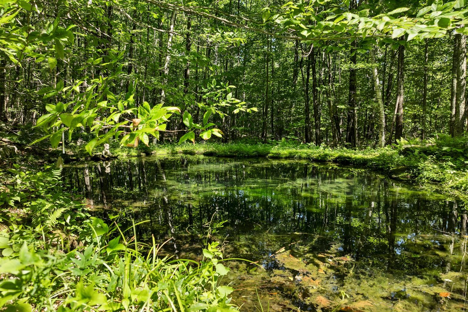 MLS #5052746 image #10