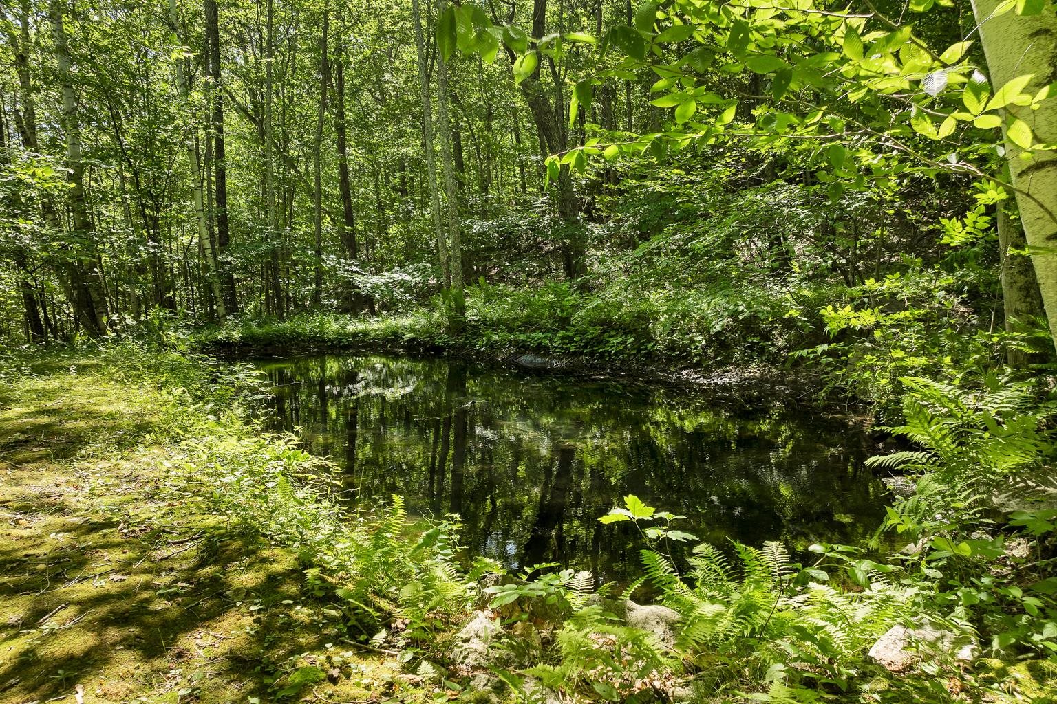 MLS #5052746 image #11