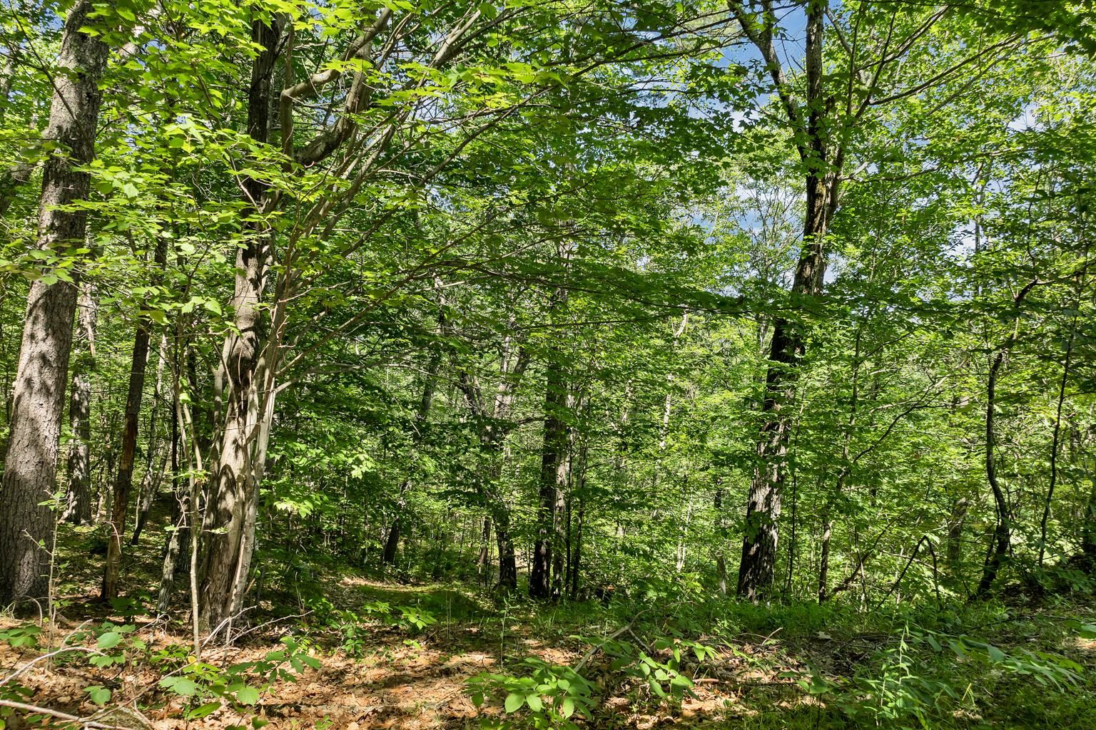 MLS #5052746 image #8