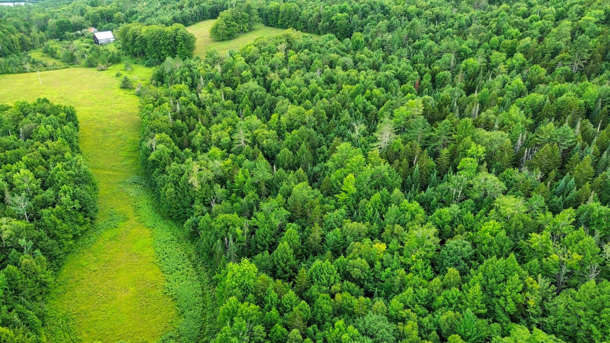 00 Fuller Rd, Newbury, VT 05051