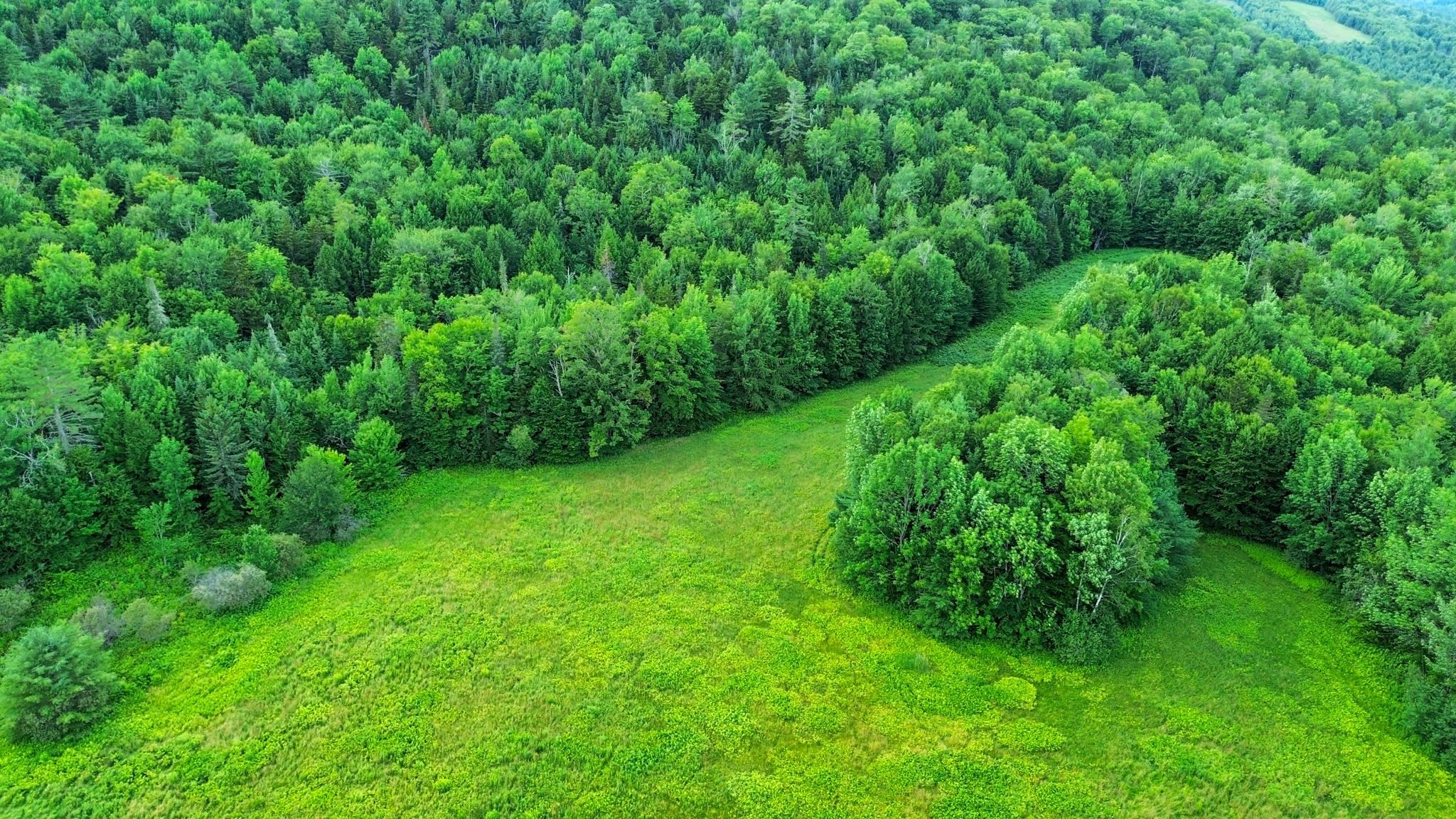 Homes for sale in Newbury, VT | 00 Fuller Rd, Newbury, VT 05051 | MLS# 5052791