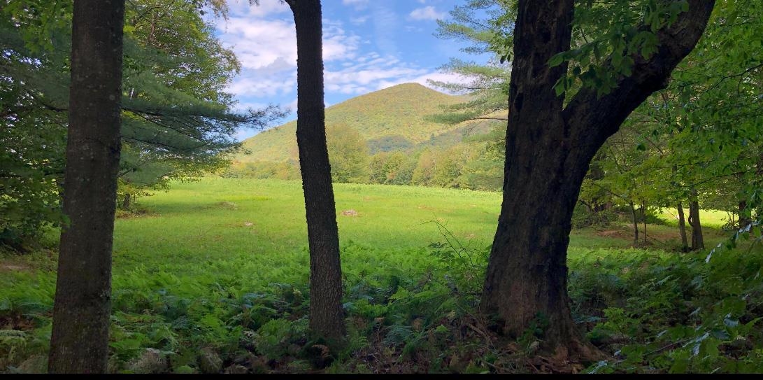 Homes for sale in Dorset, VT | 0 Havoc Hill Rd, Dorset, VT 05253 | MLS# 5052809