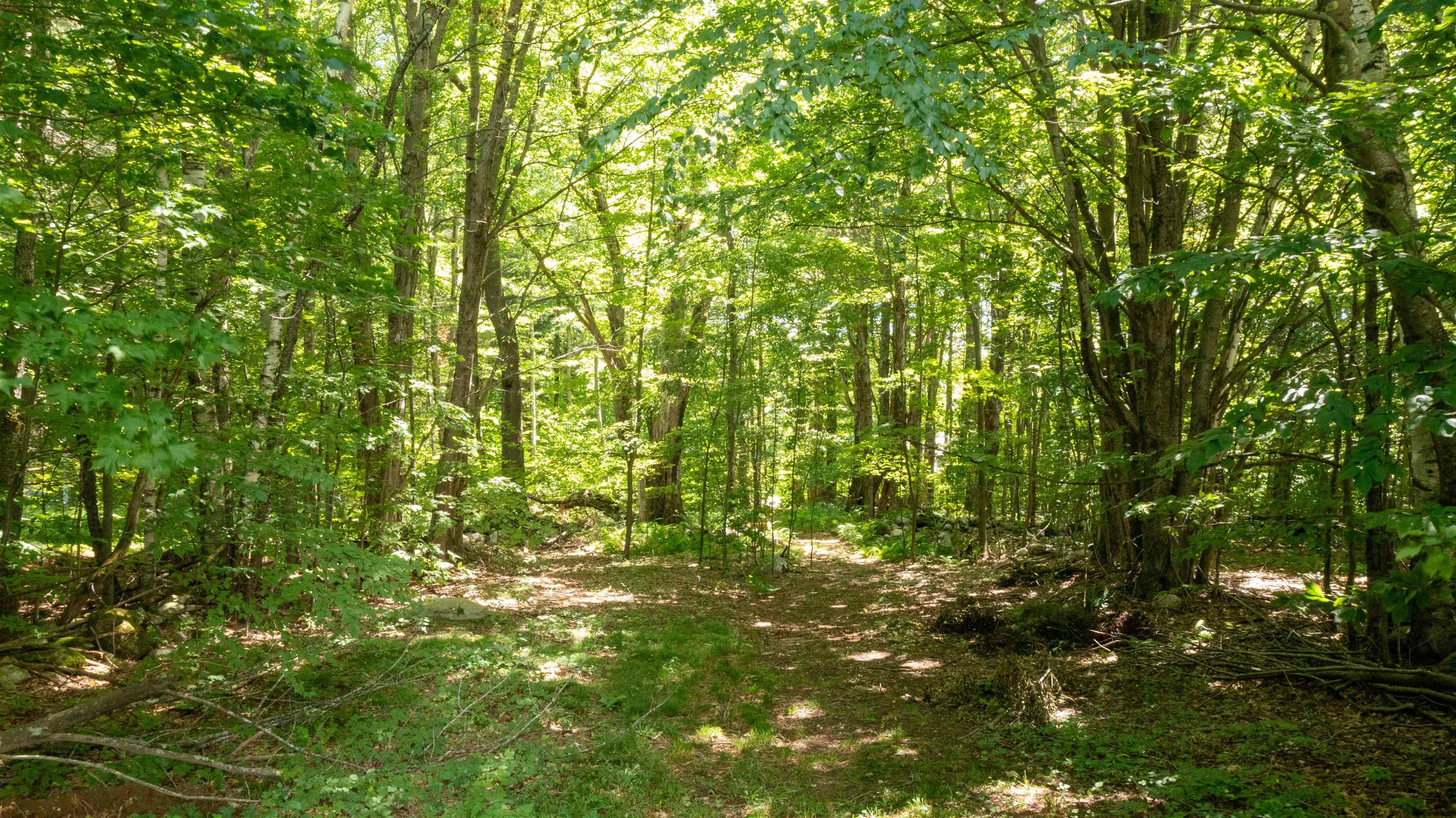 Homes for sale in Dorset, VT | 0 Havoc Hill Rd, Dorset, VT 05253 | MLS# 5052809