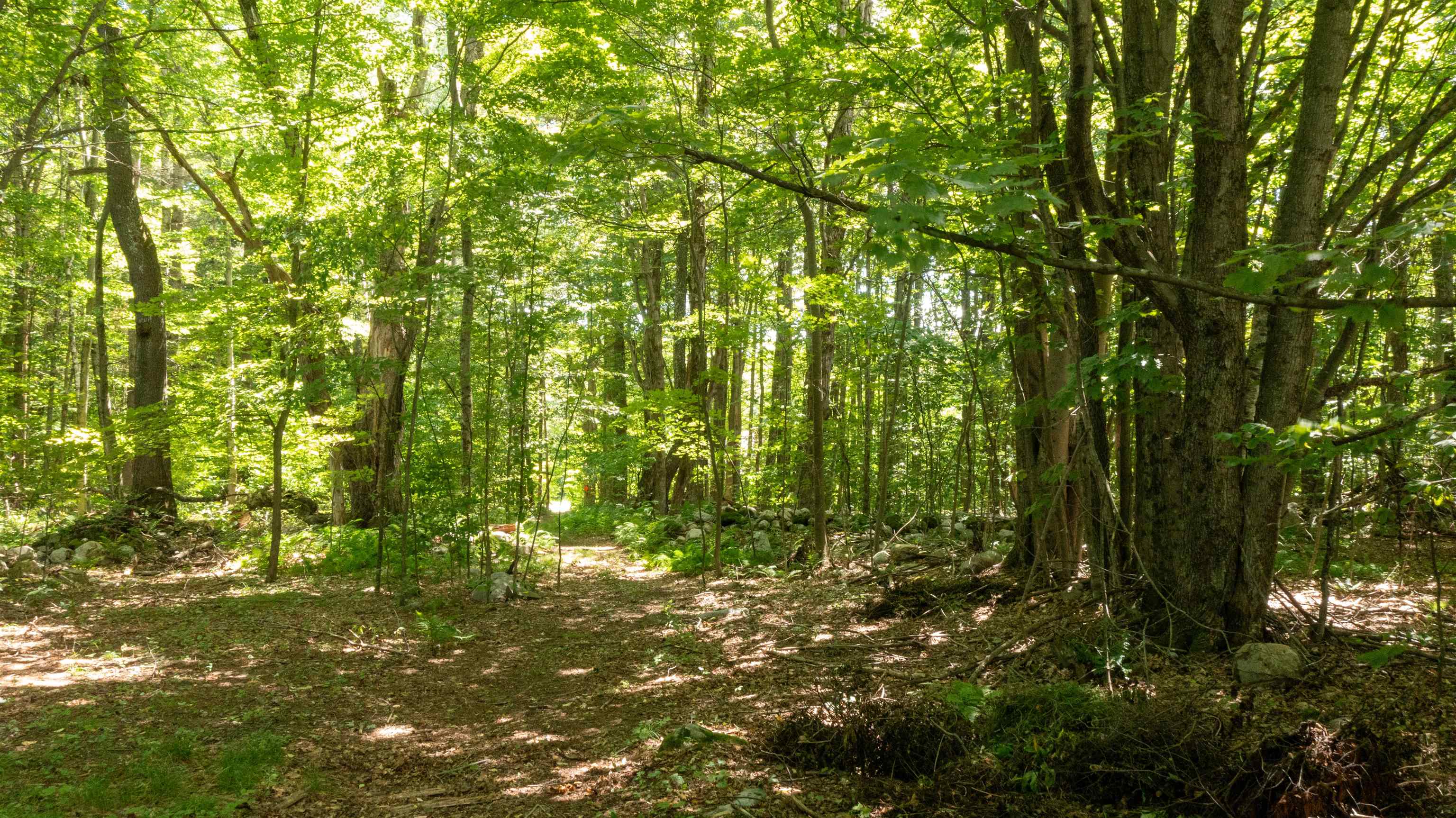 Homes for sale in Dorset, VT | 0 Havoc Hill Rd, Dorset, VT 05253 | MLS# 5052809