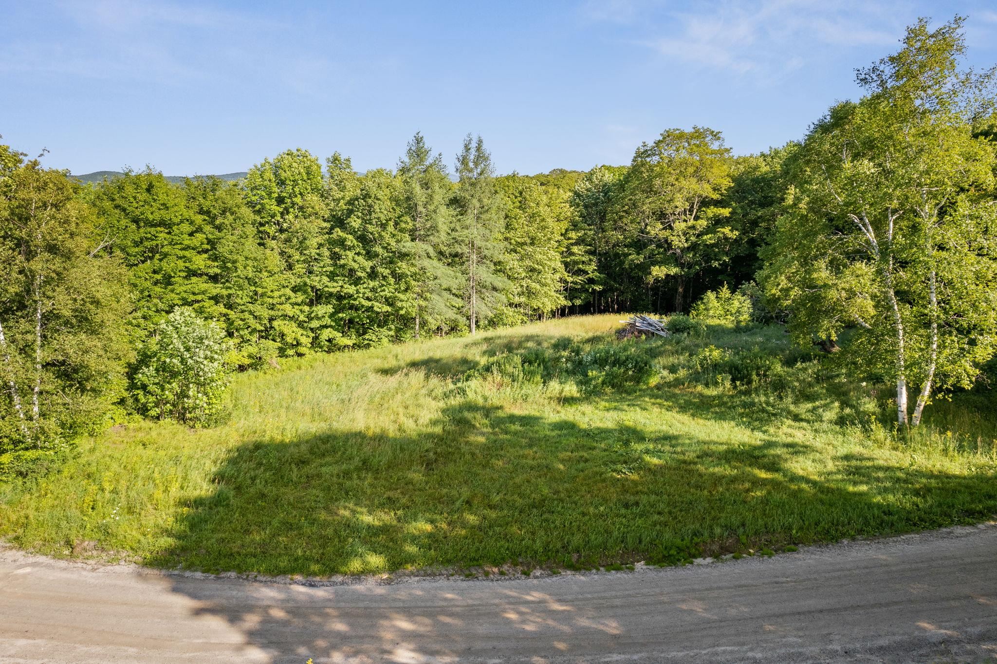 Homes for sale in Washington, VT | 00 Hyland Hill Rd, Washington, VT 05675 | MLS# 5052886