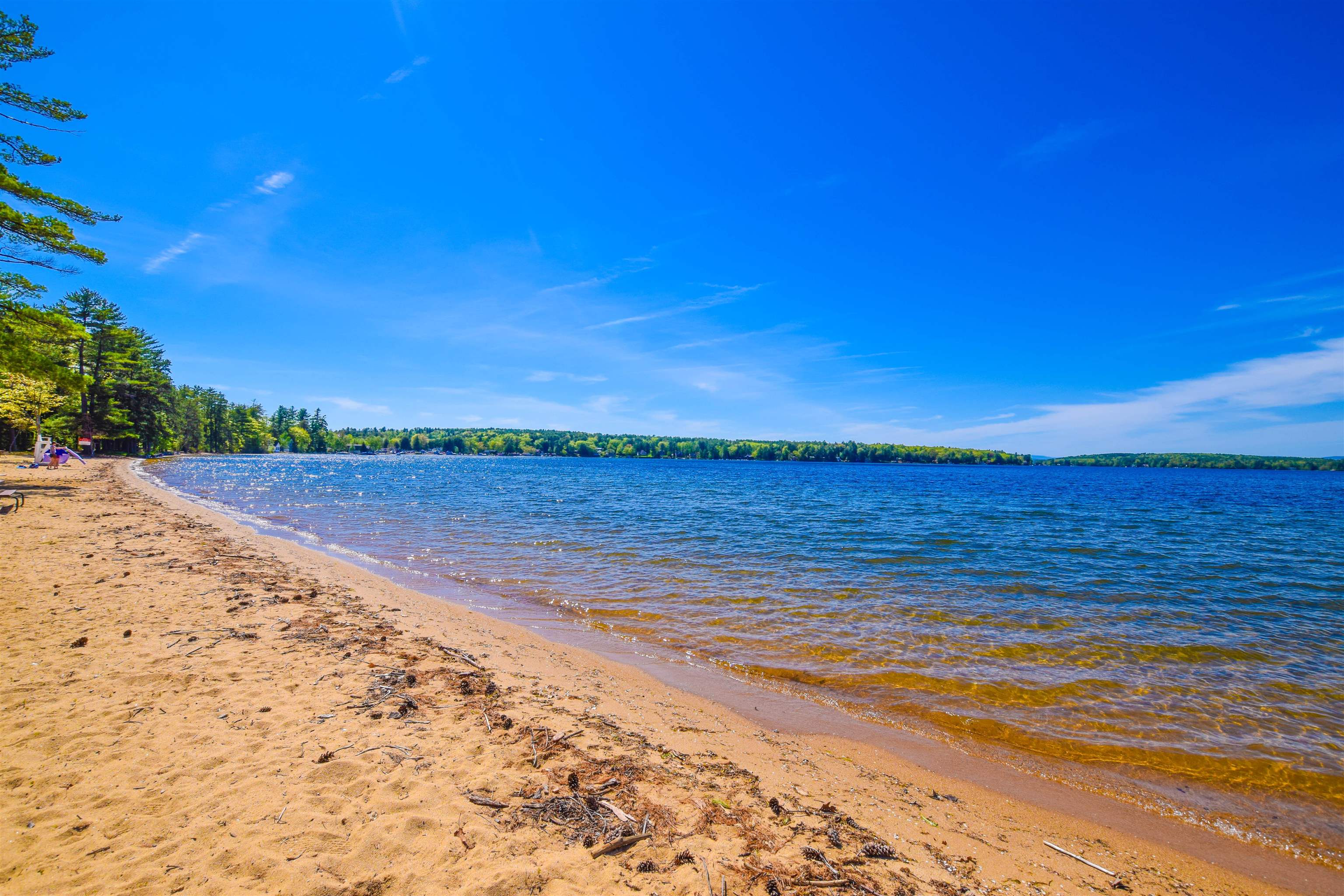 MLS #5052890 image #42