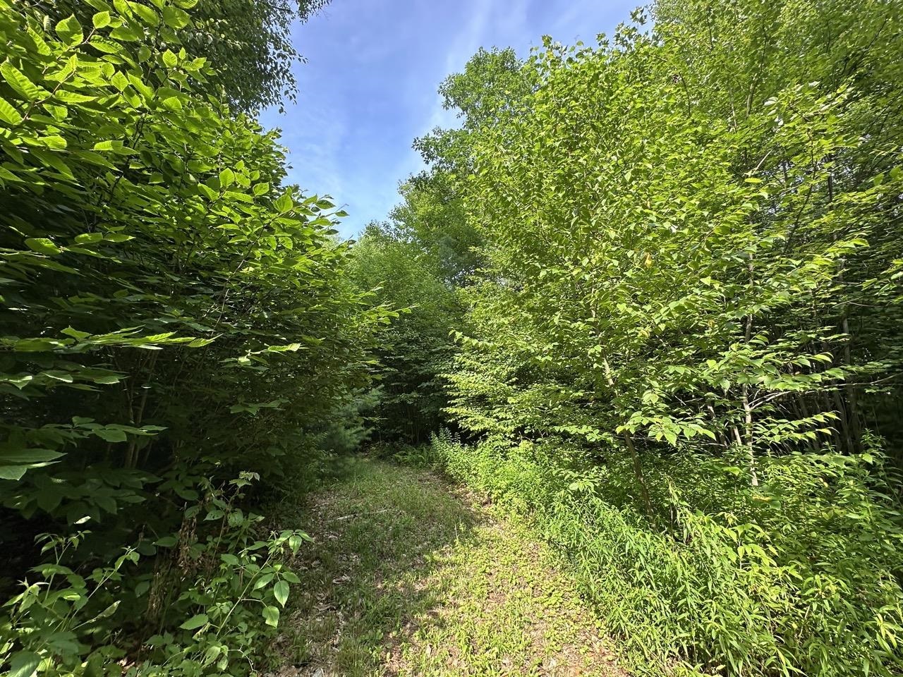 Homes for sale in Chester, VT | 00 Vt Route 103 N, Chester, VT 05143 | MLS# 5052948