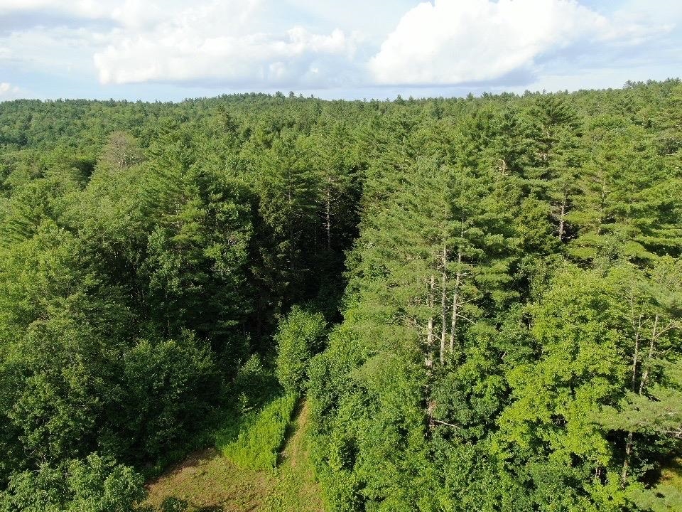 Homes for sale in Chester, VT | 00 Vt Route 103 N, Chester, VT 05143 | MLS# 5052948