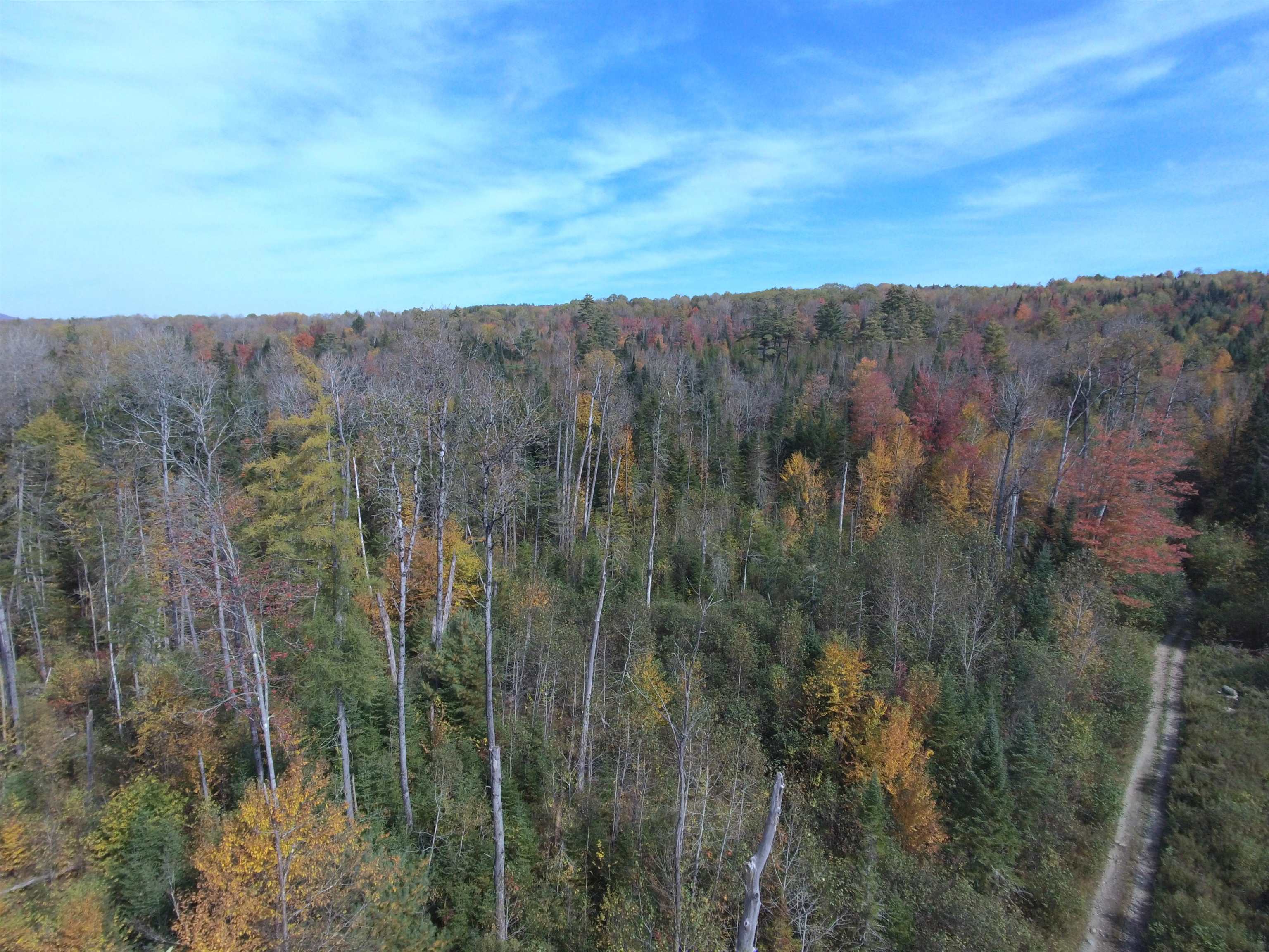 Homes for sale in Lunenburg, VT | 0 Thomas West Rd, Lunenburg, VT 05906 | MLS# 5052957