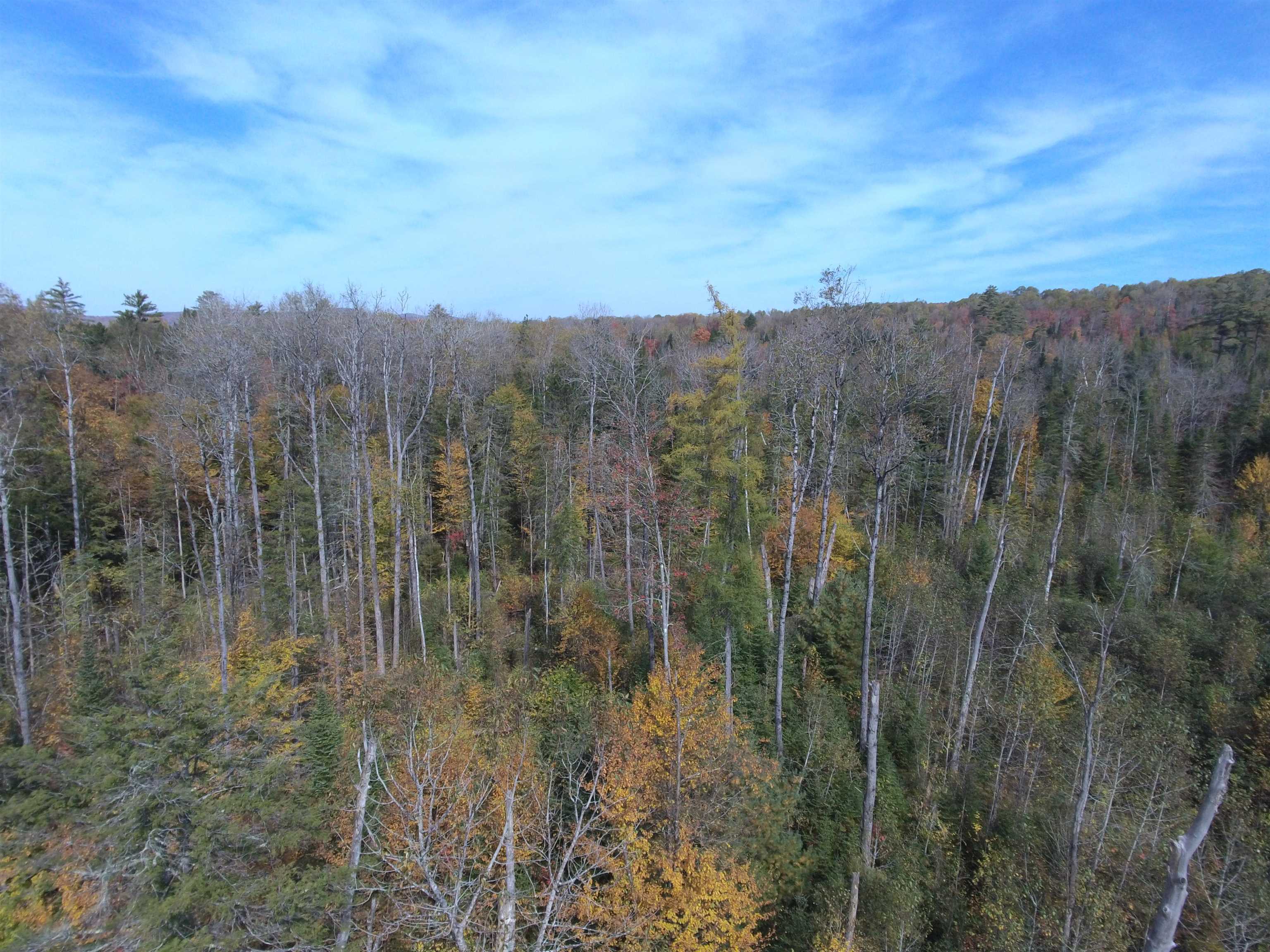 Homes for sale in Lunenburg, VT | 0 Thomas West Rd, Lunenburg, VT 05906 | MLS# 5052957