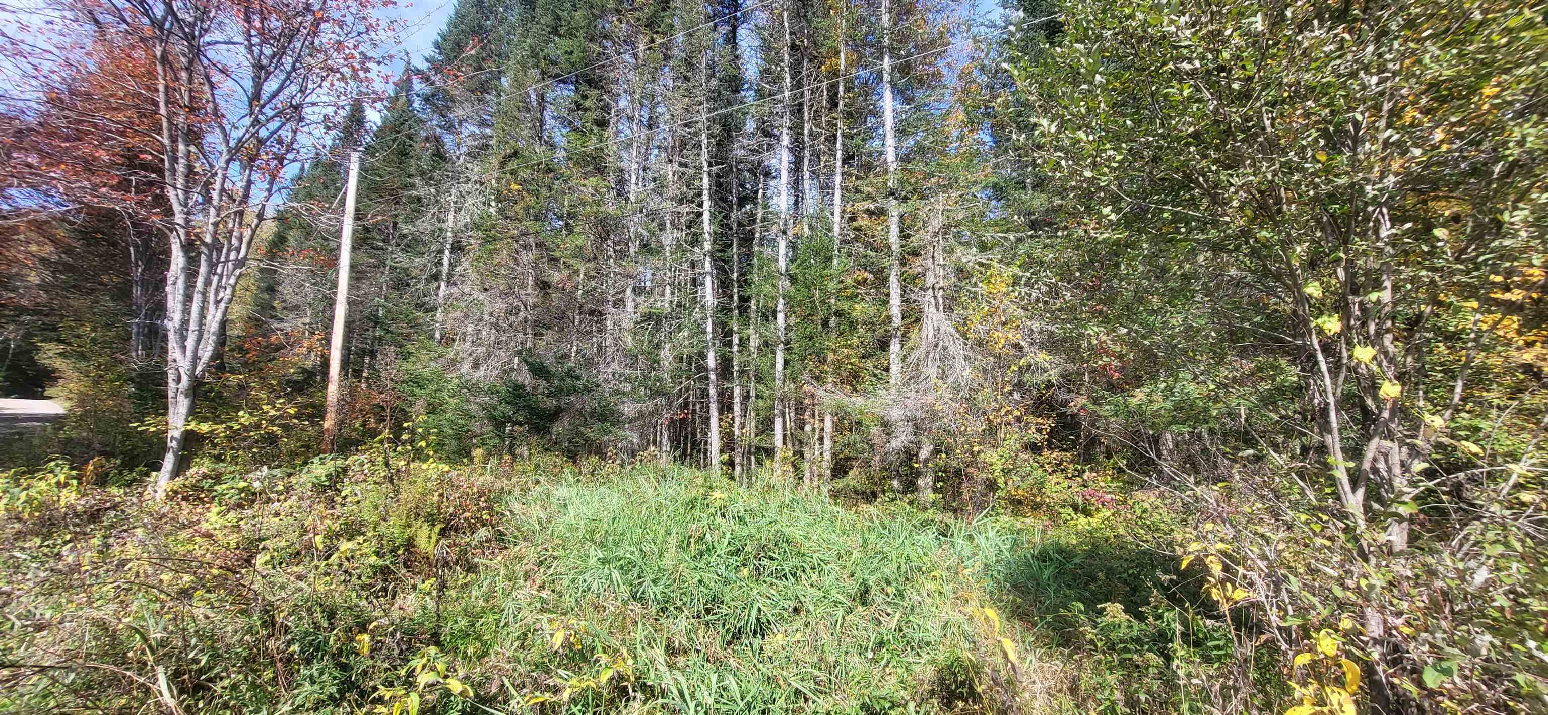 Homes for sale in Lunenburg, VT | 0 Thomas West Rd, Lunenburg, VT 05906 | MLS# 5052957