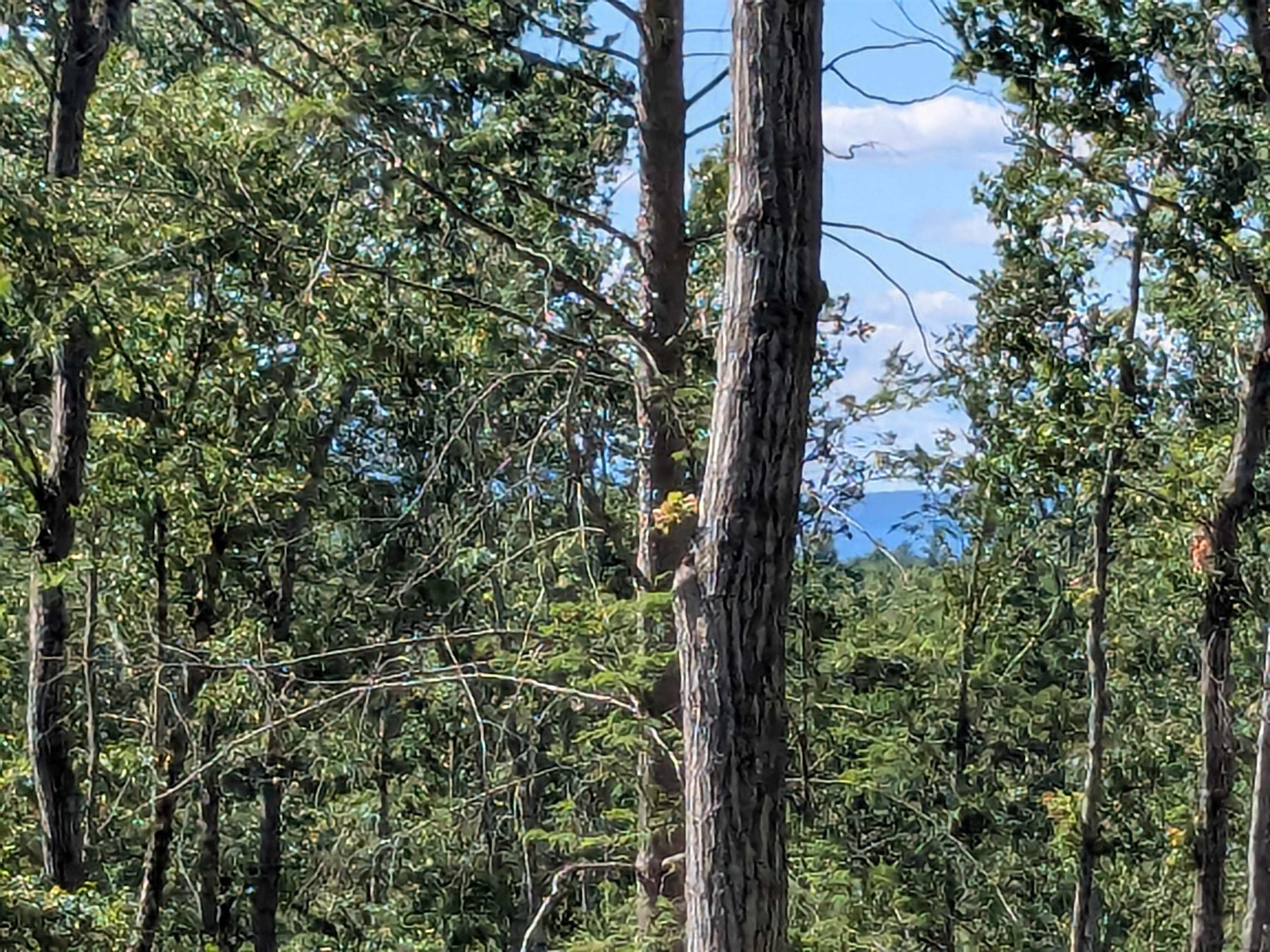 Homes for sale in Winchester, NH | 0 Old Hinsdale Rd, Winchester, NH 03470 | MLS# 5052965