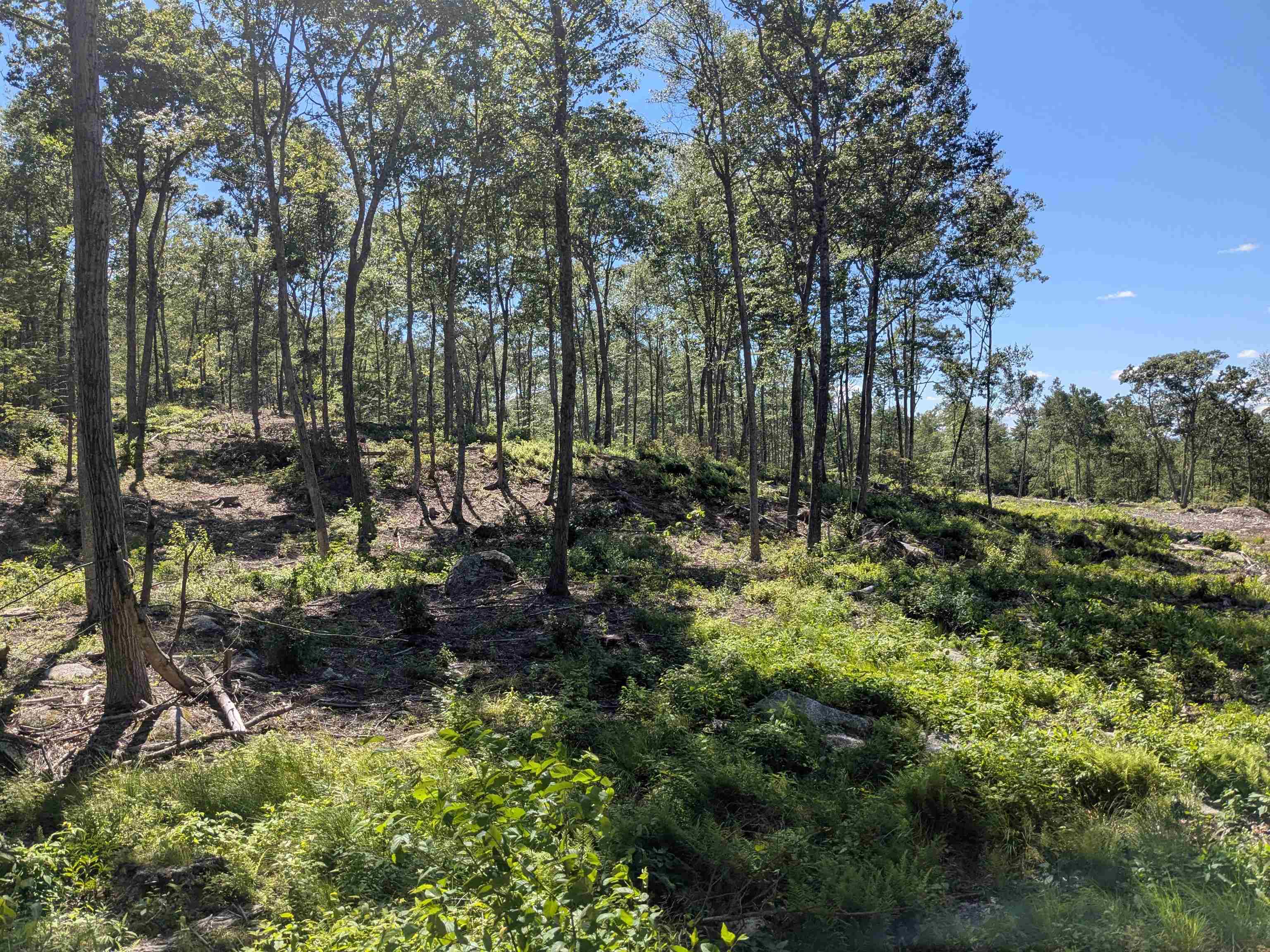 Homes for sale in Winchester, NH | 0 Old Hinsdale Rd, Winchester, NH 03470 | MLS# 5052965