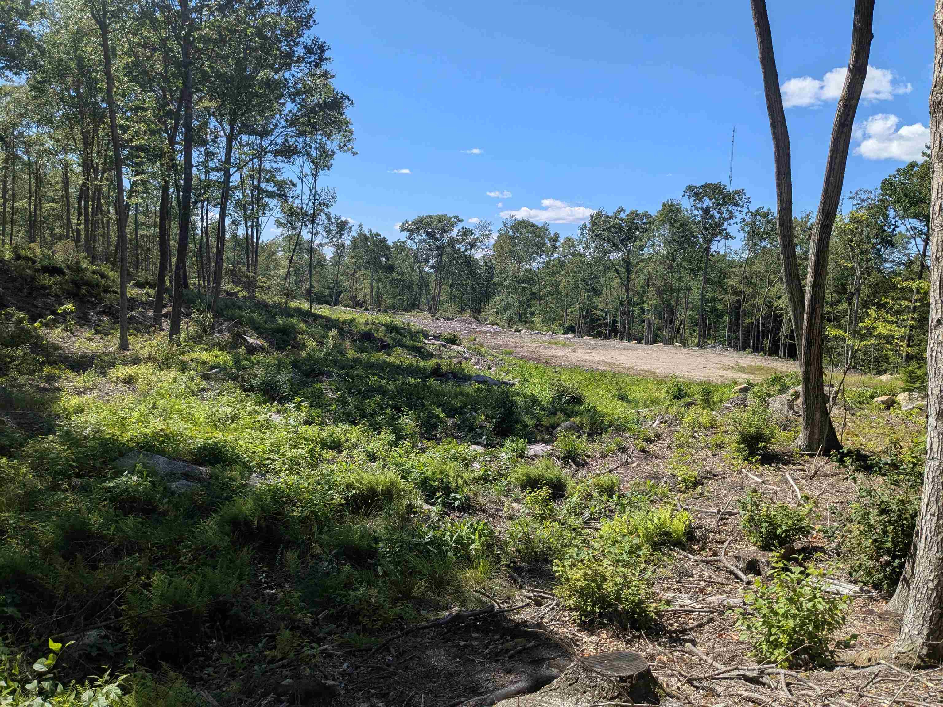 Homes for sale in Winchester, NH | 0 Old Hinsdale Rd, Winchester, NH 03470 | MLS# 5052965