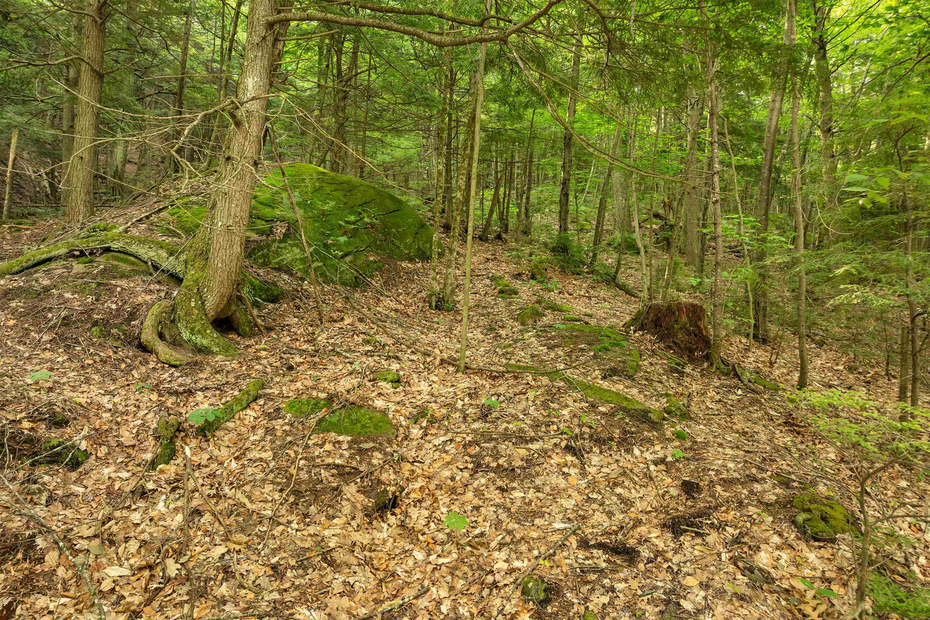 Homes for sale in New Durham, NH | 0 Interlaken Dr, New Durham, NH 03855 | MLS# 5053033