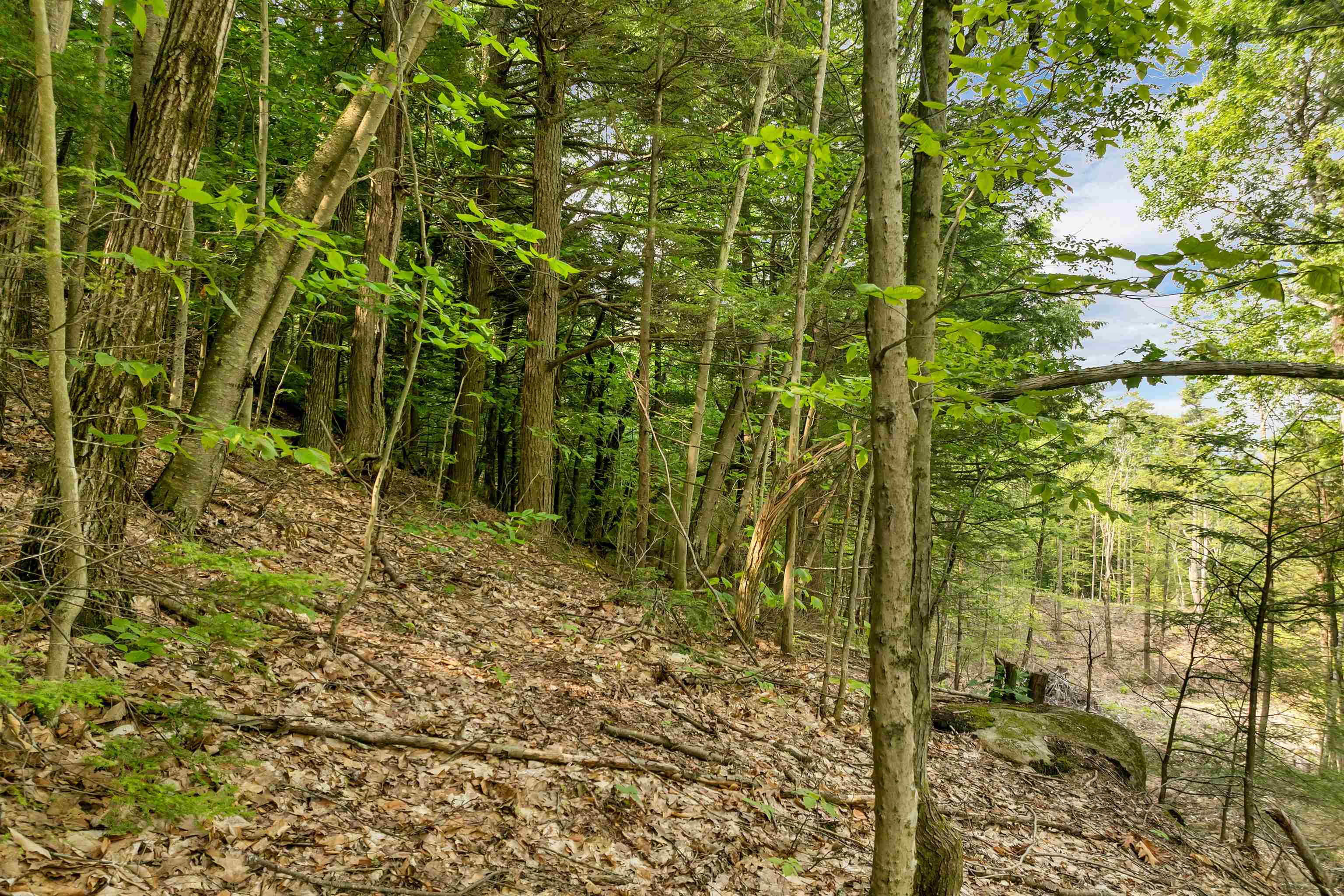 Homes for sale in New Durham, NH | 0 Interlaken Dr, New Durham, NH 03855 | MLS# 5053033