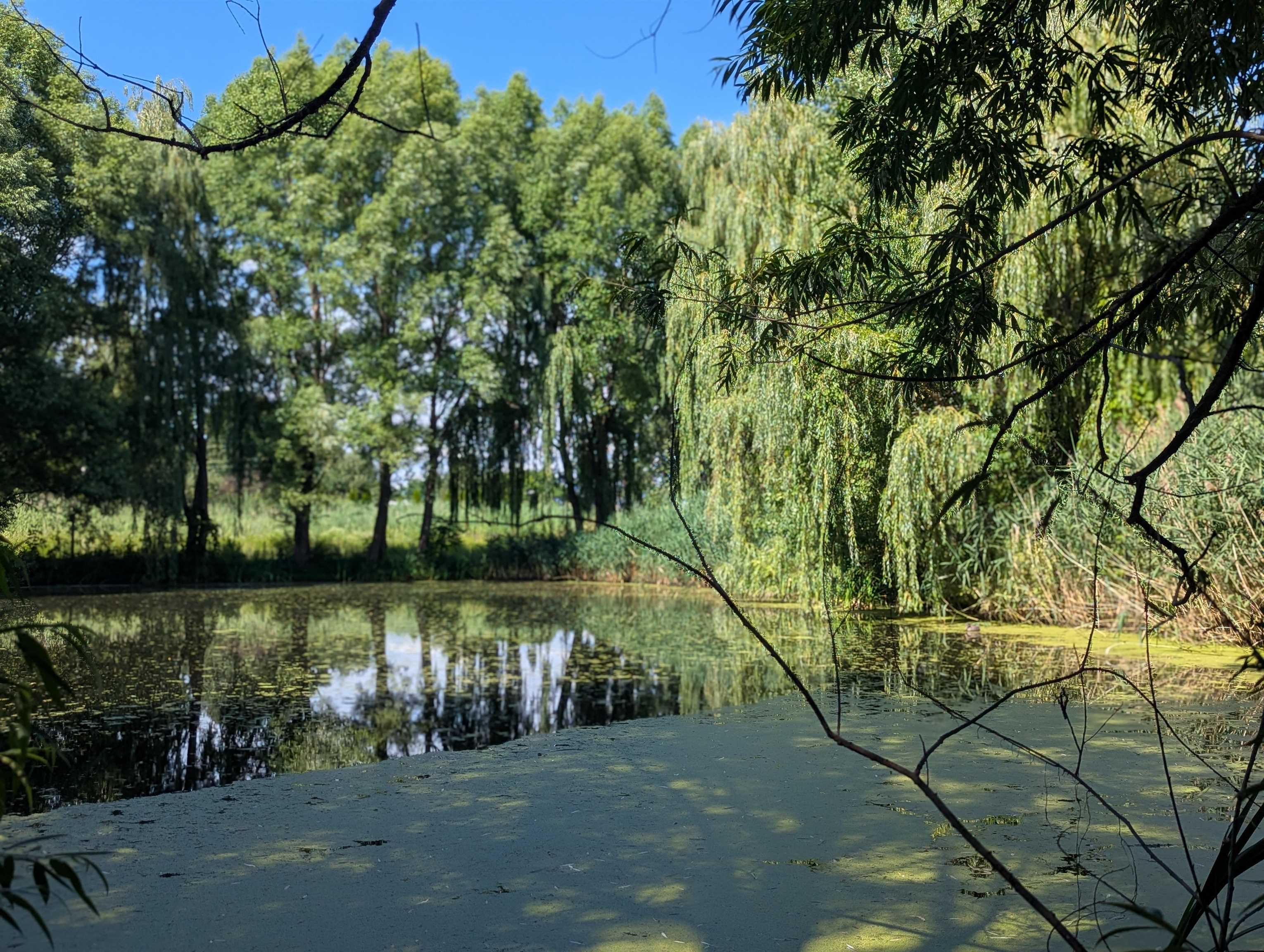 Homes for sale in Swanton, VT | 2 Andersen Ln, Swanton, VT 05488 | MLS# 5053122