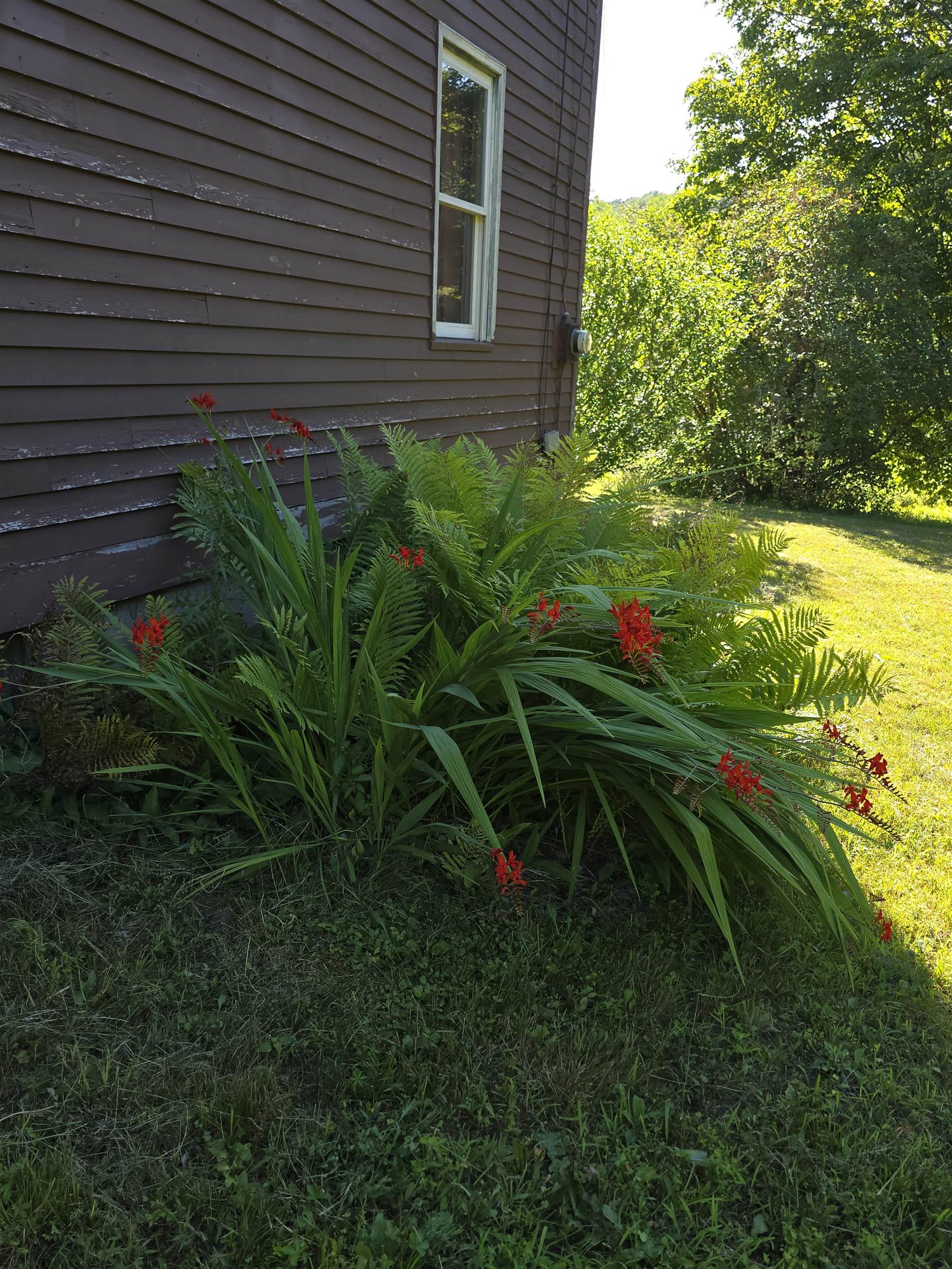 Homes for sale in Stamford, VT | 266 Robillard Rd, Stamford, VT 05352 | MLS# 5053140