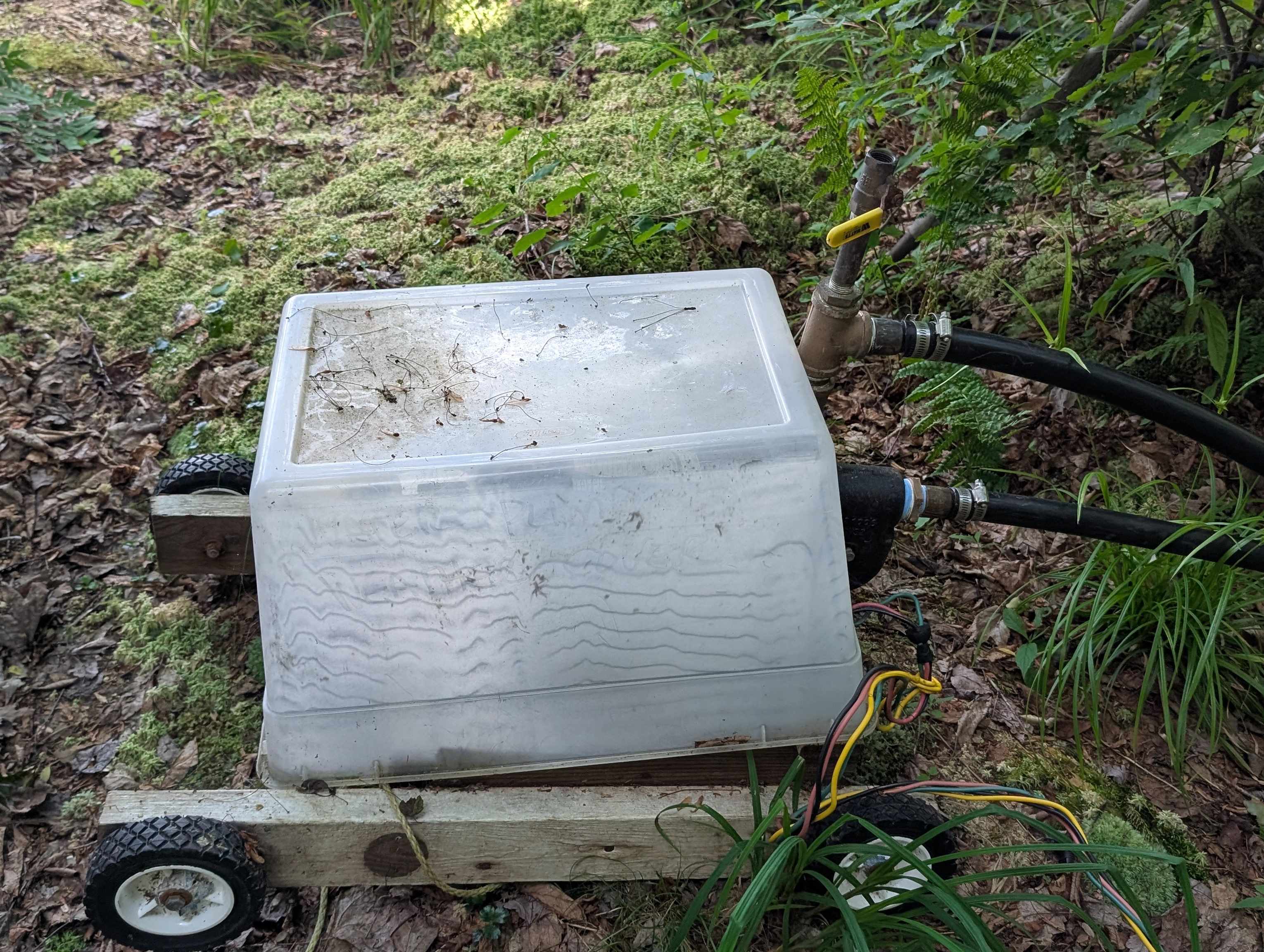 Homes for sale in Averill, VT | 63 Bradley Rd, Averill, VT 05901 | MLS# 5053210