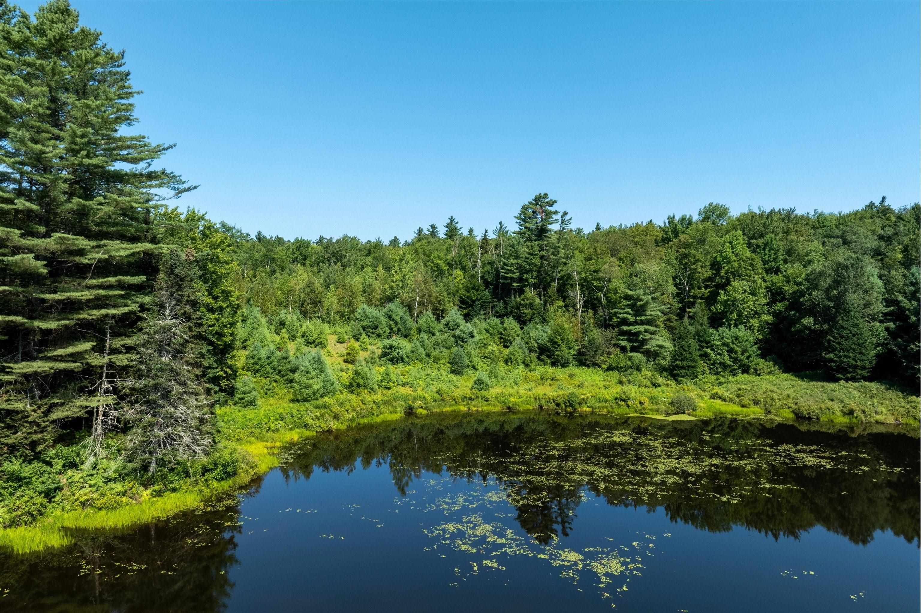 Homes for sale in Peru, VT | 188 Cedar Ln, Peru, VT 05152 | MLS# 5053318