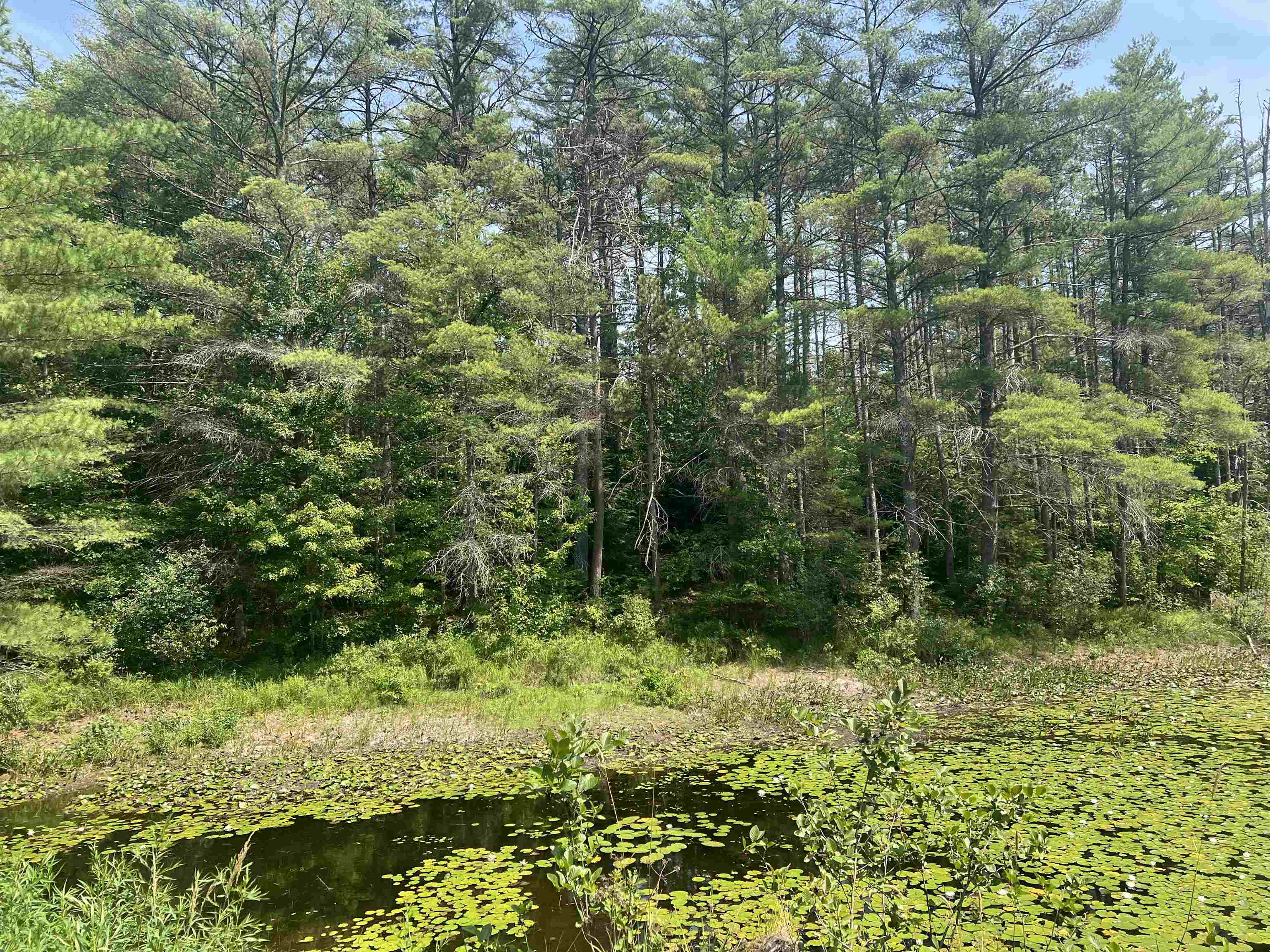 Ossipee NH Land for sale $$110,000 | 4.1 Acres  | Price Per Acre $0 