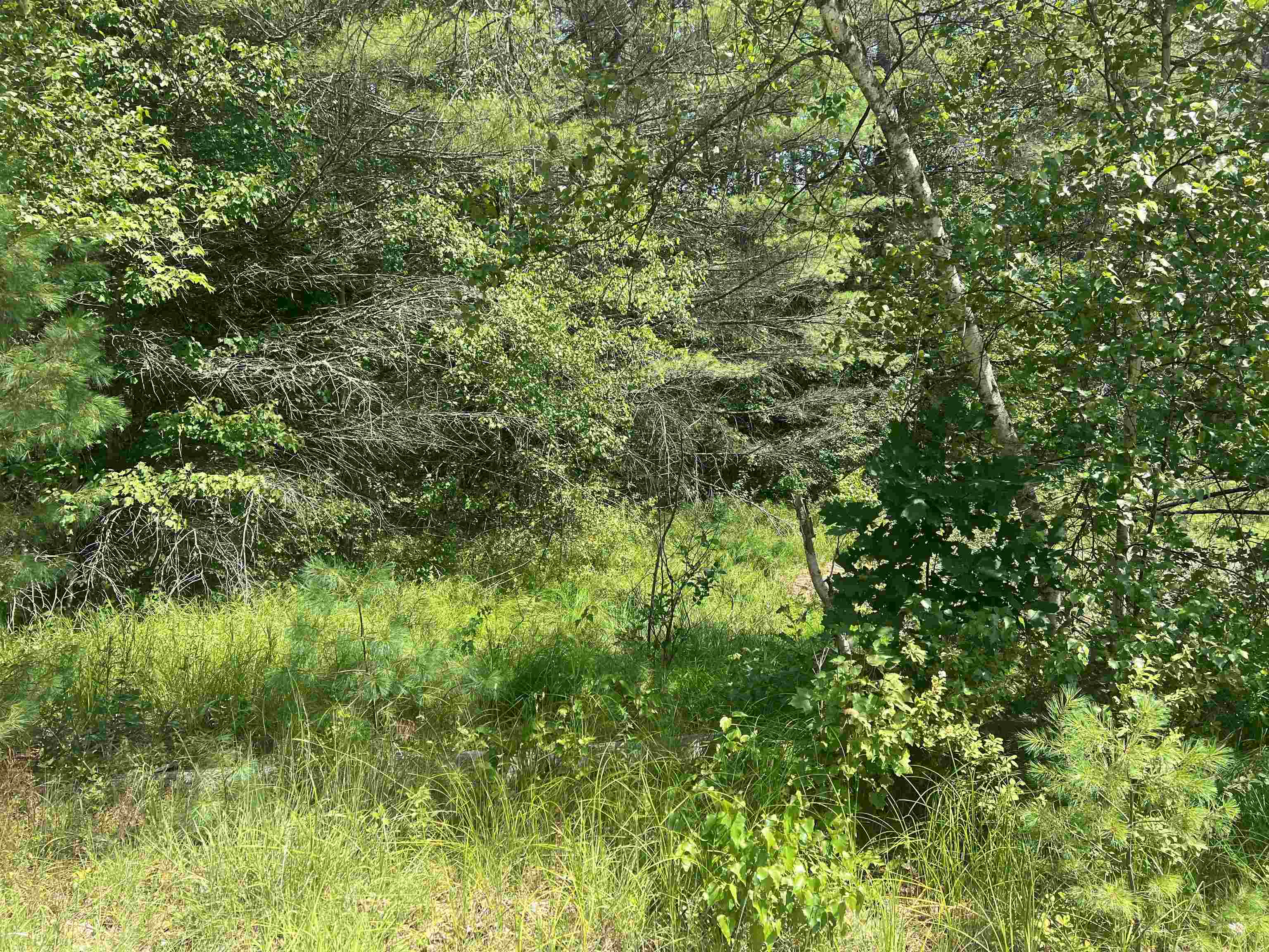 Homes for sale in Ossipee, NH | 179 Chickville Rd, Ossipee, NH 03864 | MLS# 5053361