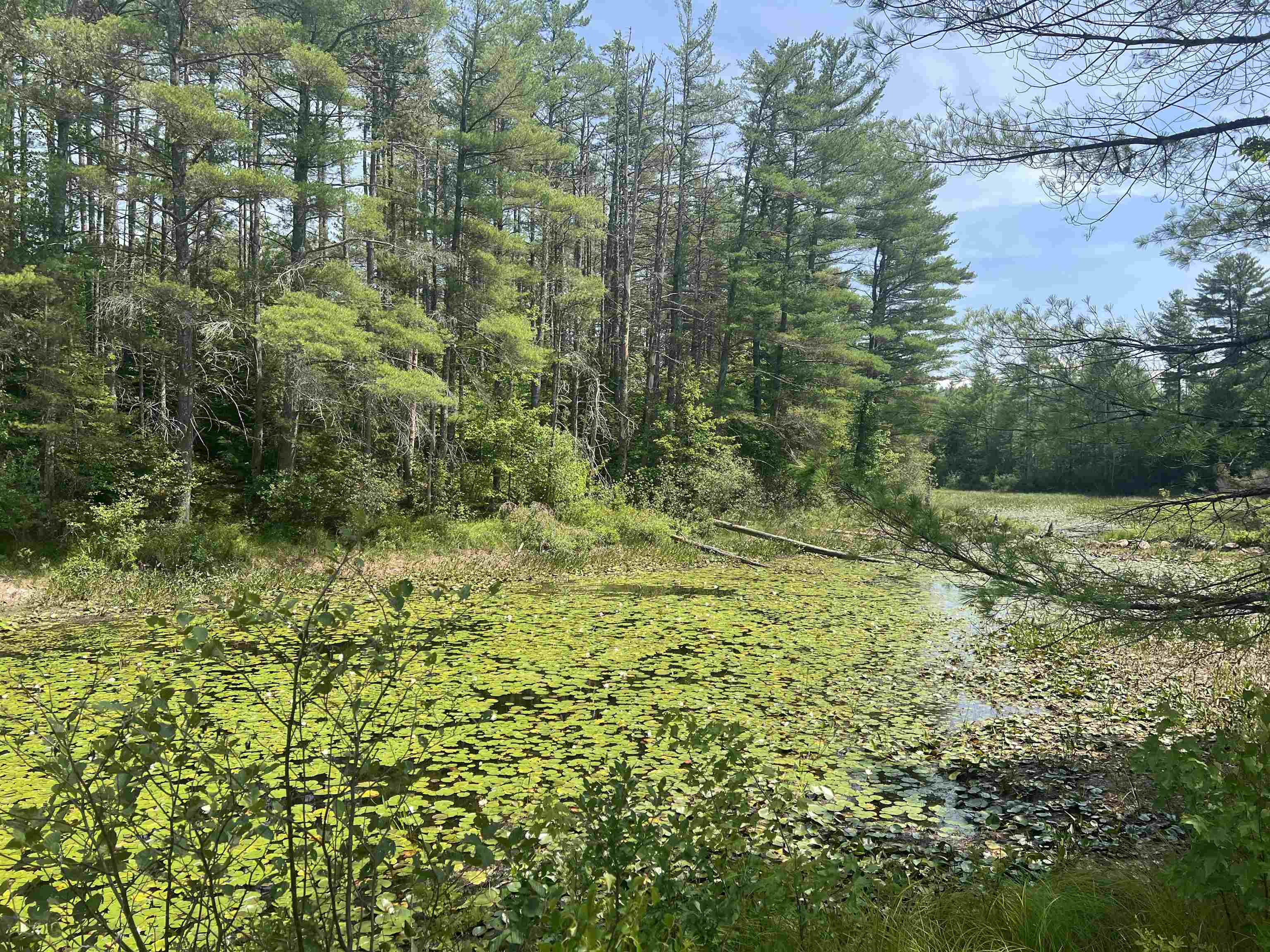 Homes for sale in Ossipee, NH | 179 Chickville Rd, Ossipee, NH 03864 | MLS# 5053361