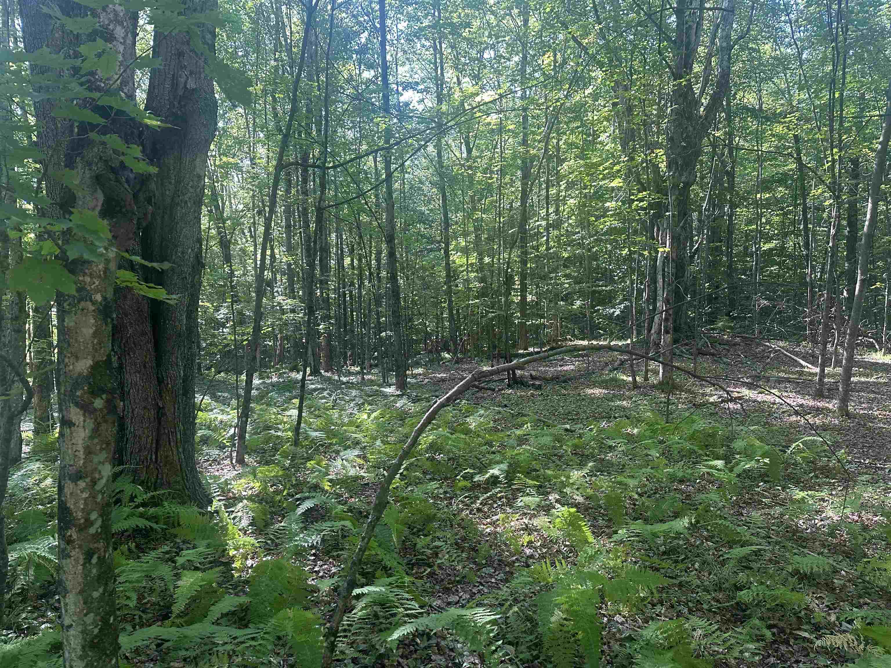 Homes for sale in Mendon, VT | 0 Helvi Hl, Mendon, VT 05701 | MLS# 5053365