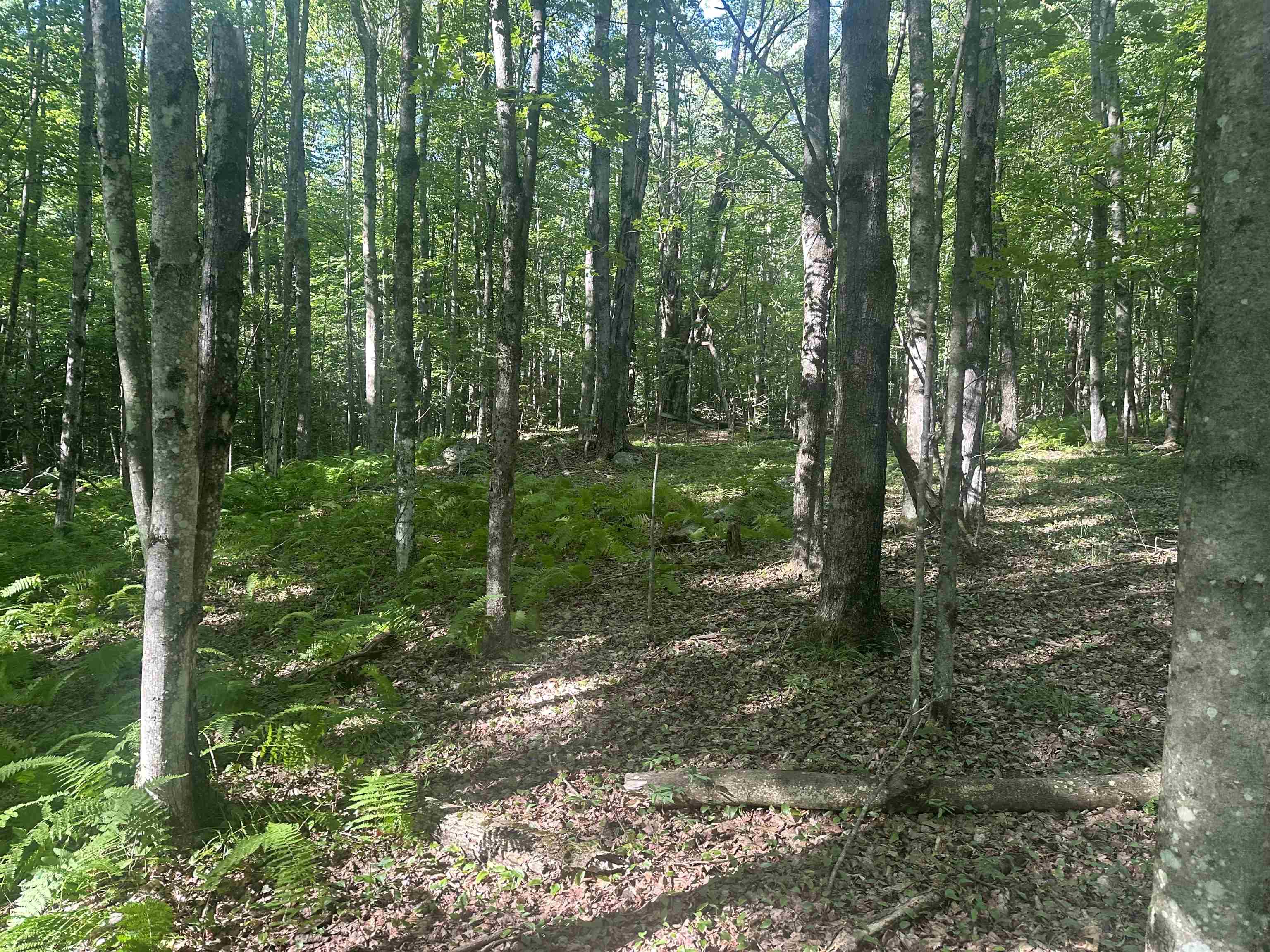 Homes for sale in Mendon, VT | 0 Helvi Hl, Mendon, VT 05701 | MLS# 5053365