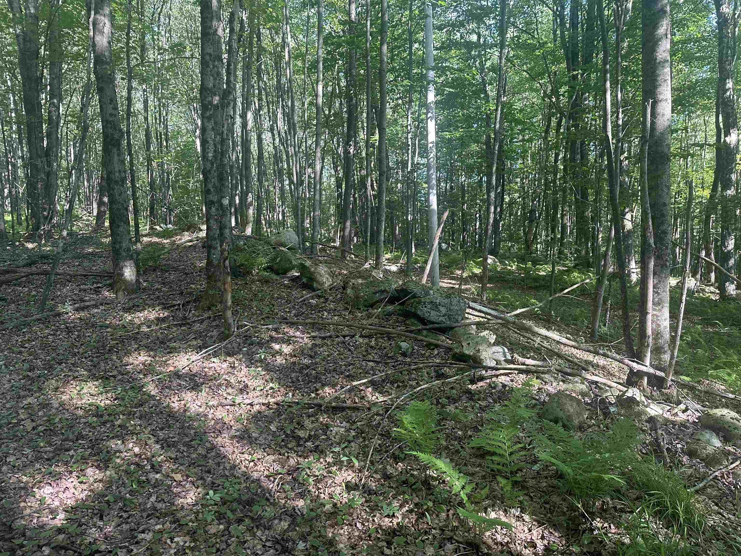 Homes for sale in Mendon, VT | 0 Helvi Hl, Mendon, VT 05701 | MLS# 5053365