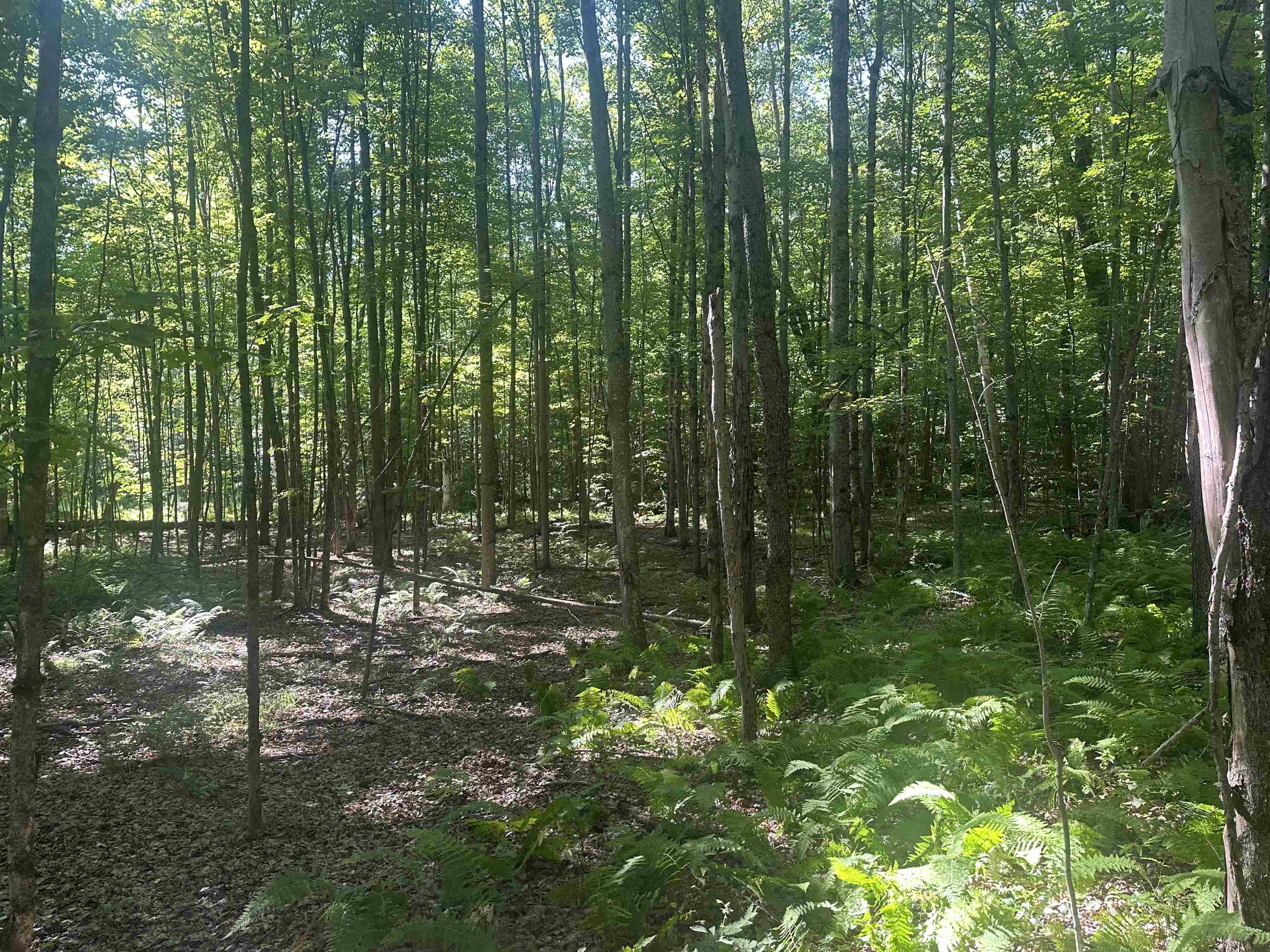 Homes for sale in Mendon, VT | 0 Helvi Hl, Mendon, VT 05701 | MLS# 5053365