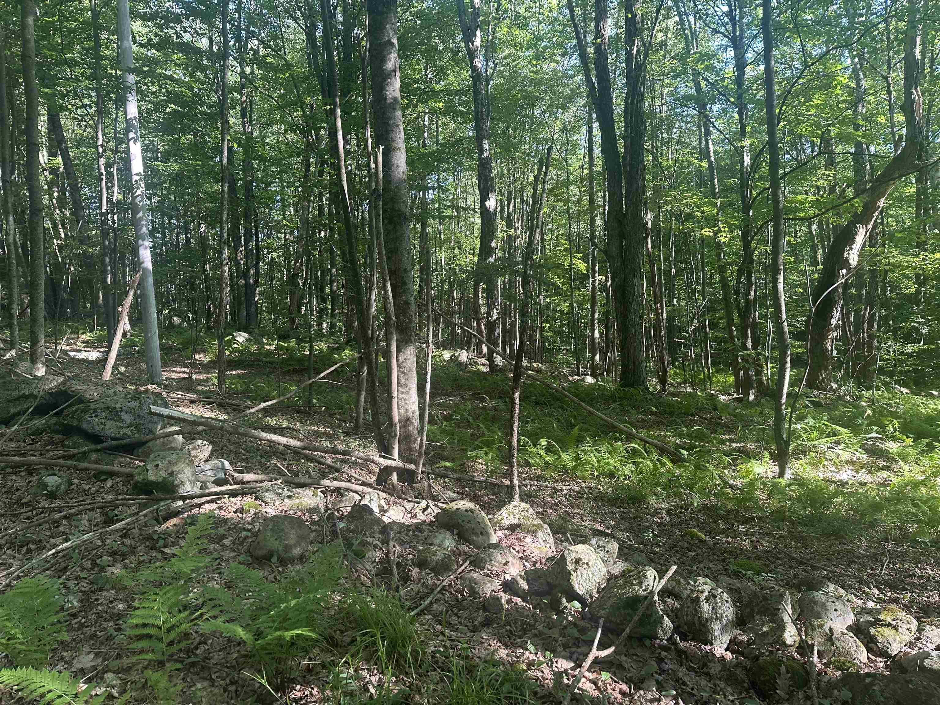 Homes for sale in Mendon, VT | 0 Helvi Hl, Mendon, VT 05701 | MLS# 5053365