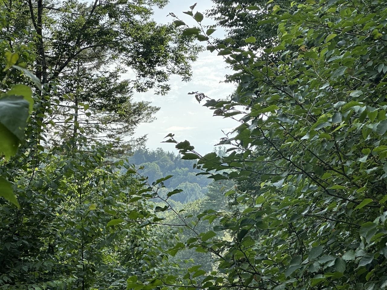 Homes for sale in Chester, VT | 00 Vermont Route 103, Chester, VT 05143 | MLS# 5053371