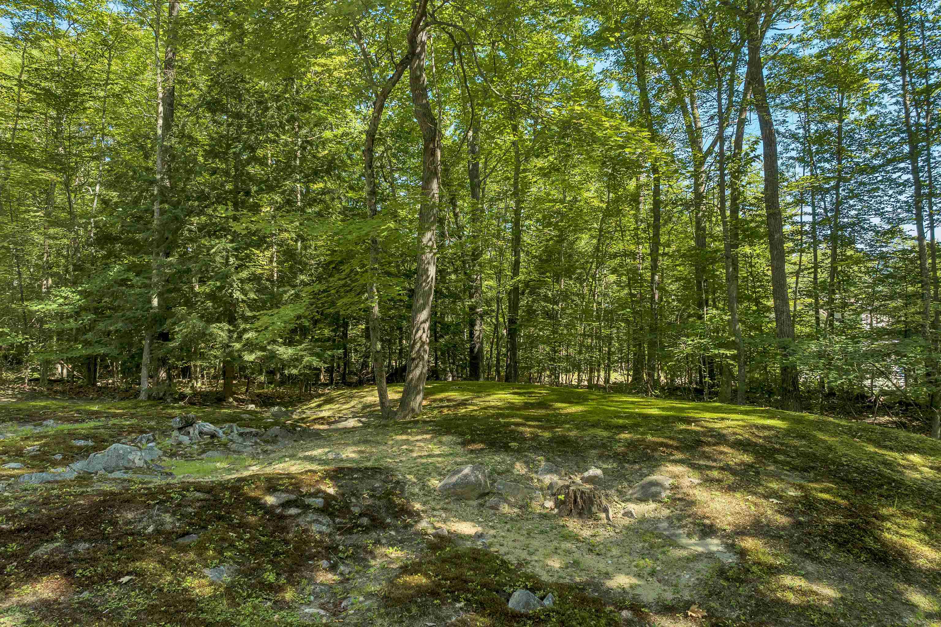 MLS #5053384 image #10