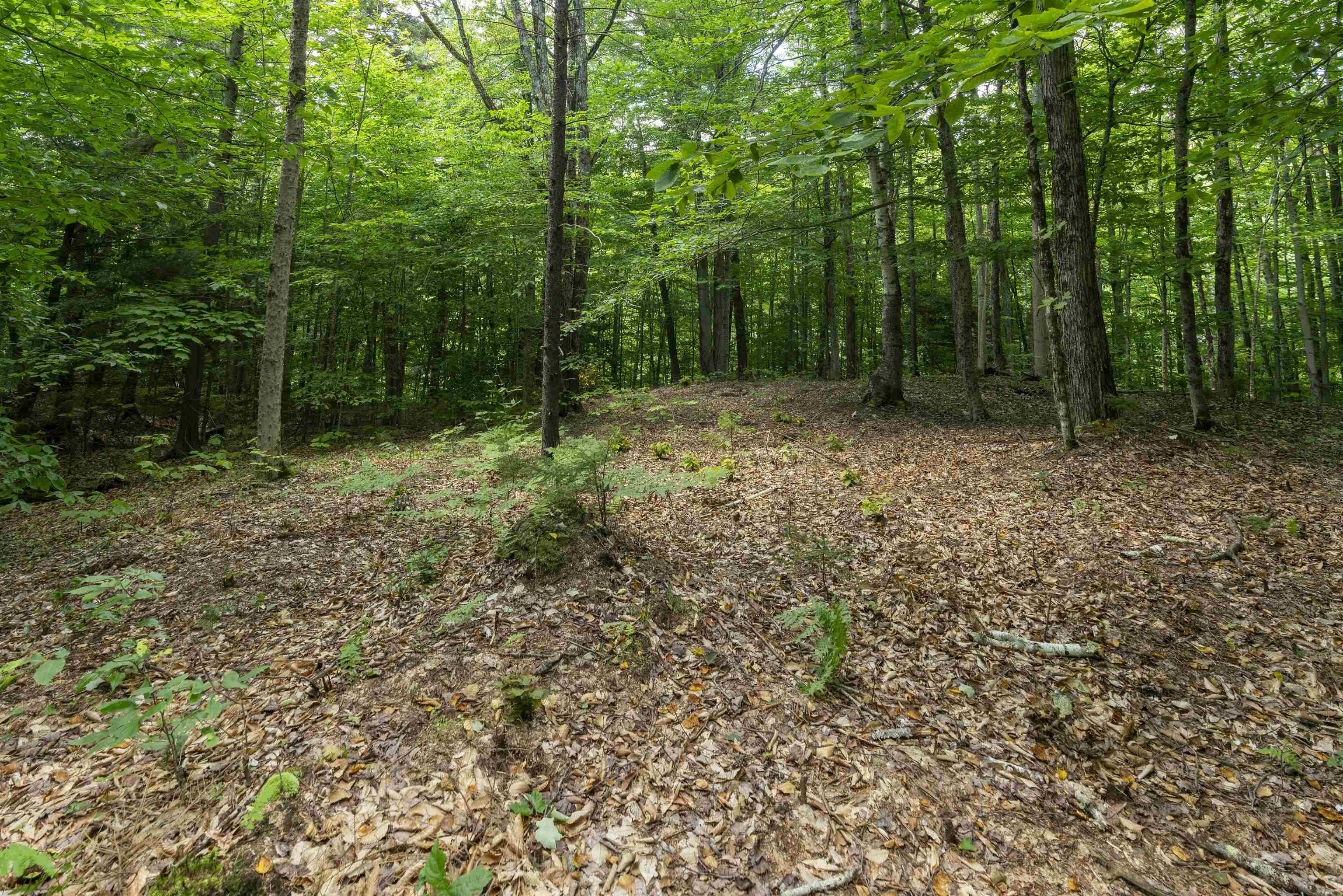 Homes for sale in Duxbury, VT | Tbd Taylor Rd, Duxbury, VT 05660 | MLS# 5053402