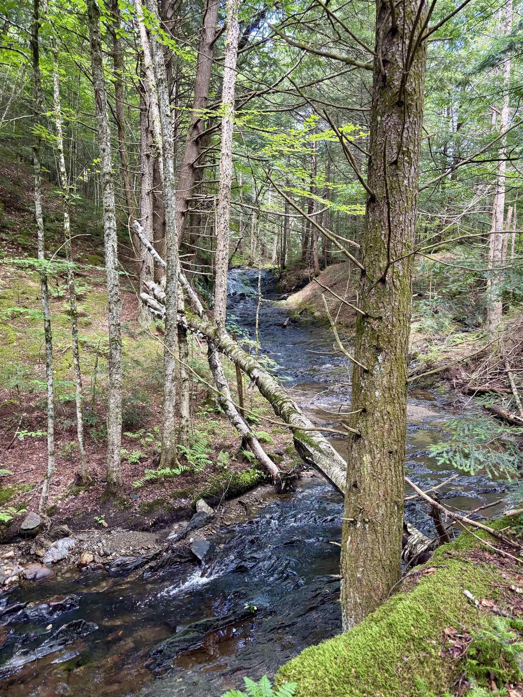 Homes for sale in Duxbury, VT | Tbd Wilder Rd, Duxbury, VT 05660 | MLS# 5053403