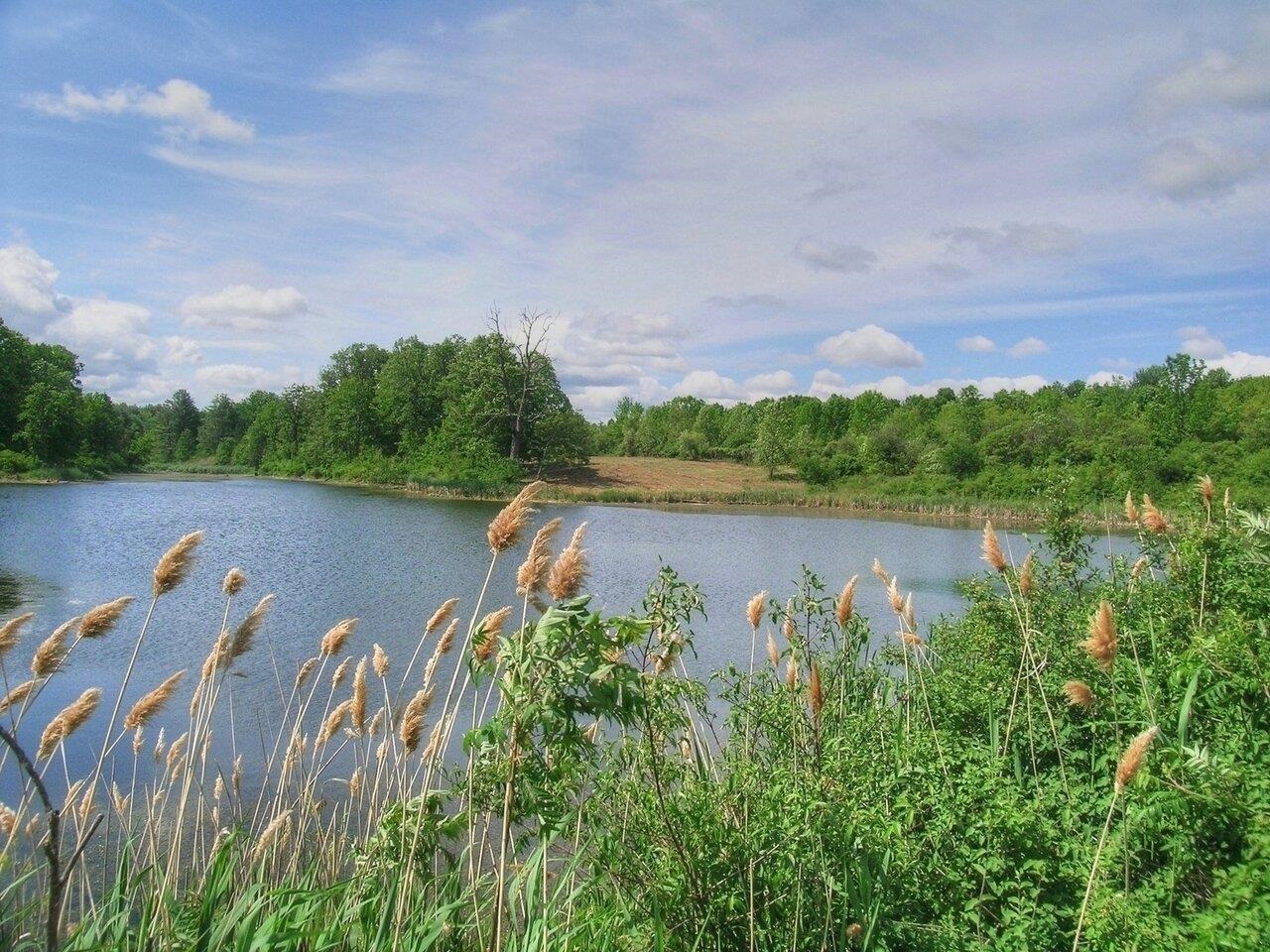 Homes for sale in Cornwall, VT | 0 South Bingham St, Cornwall, VT 05753 | MLS# 5053410