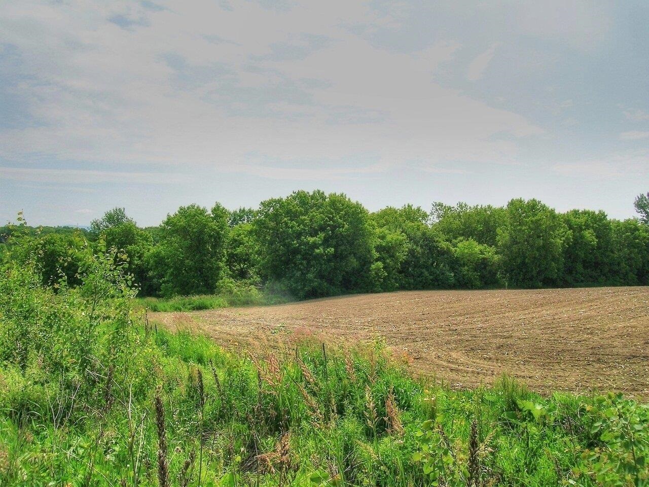 Homes for sale in Cornwall, VT | 0 South Bingham St, Cornwall, VT 05753 | MLS# 5053410