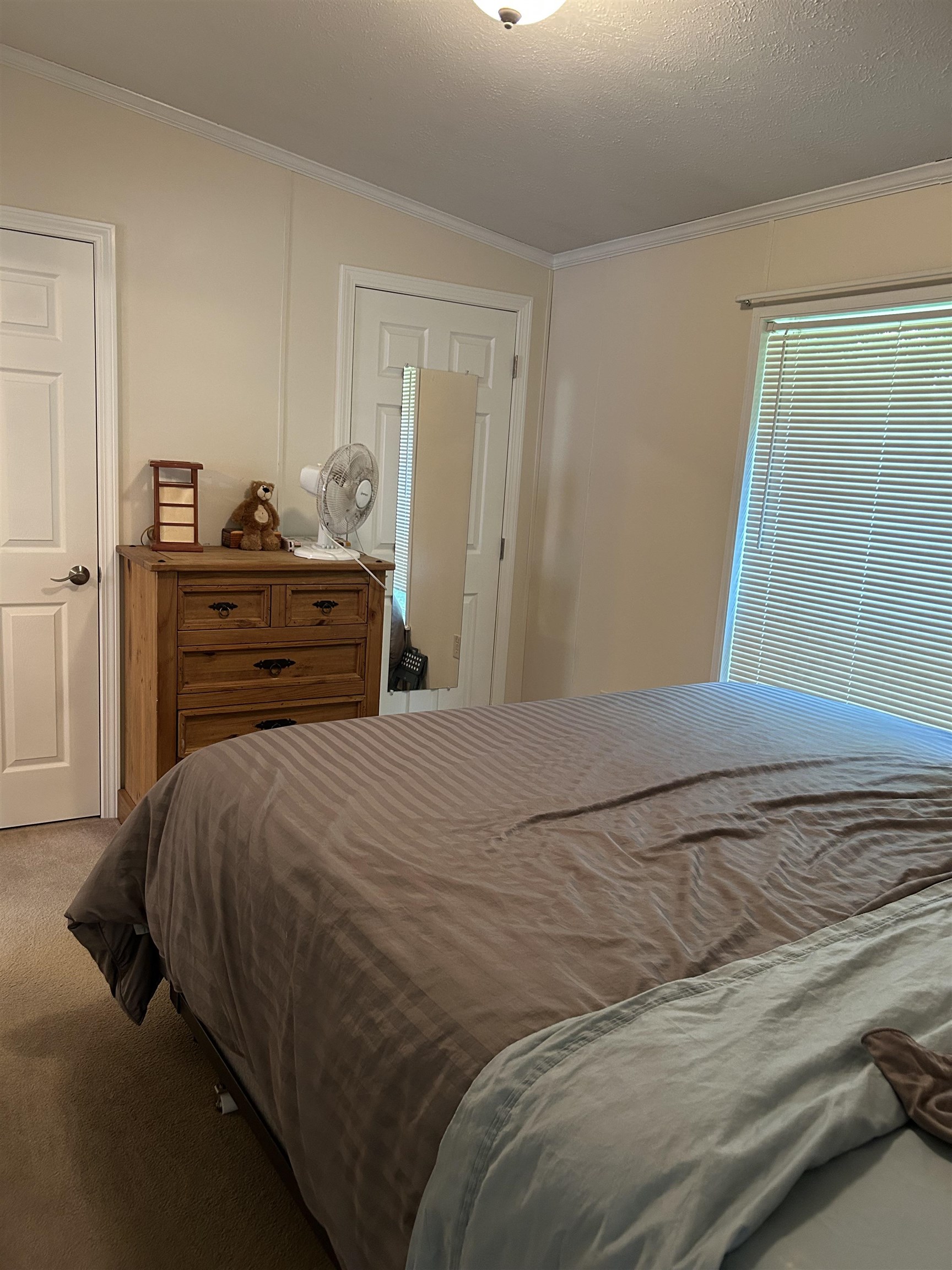 MLS #5053442 image #17