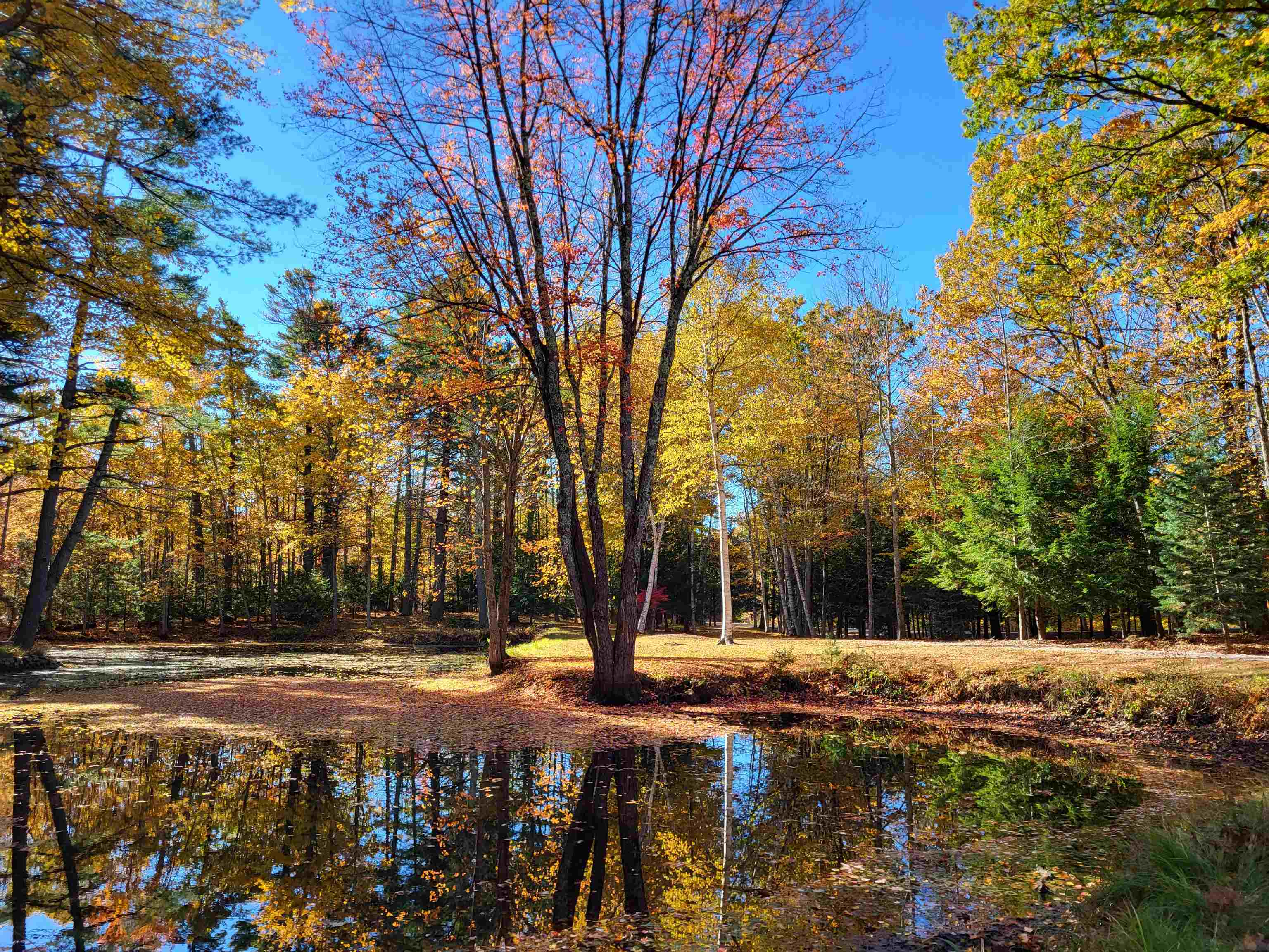 Homes for sale in Moultonborough, NH | 29 Kona Farm Rd, Moultonborough, NH 03254 | MLS# 5053474